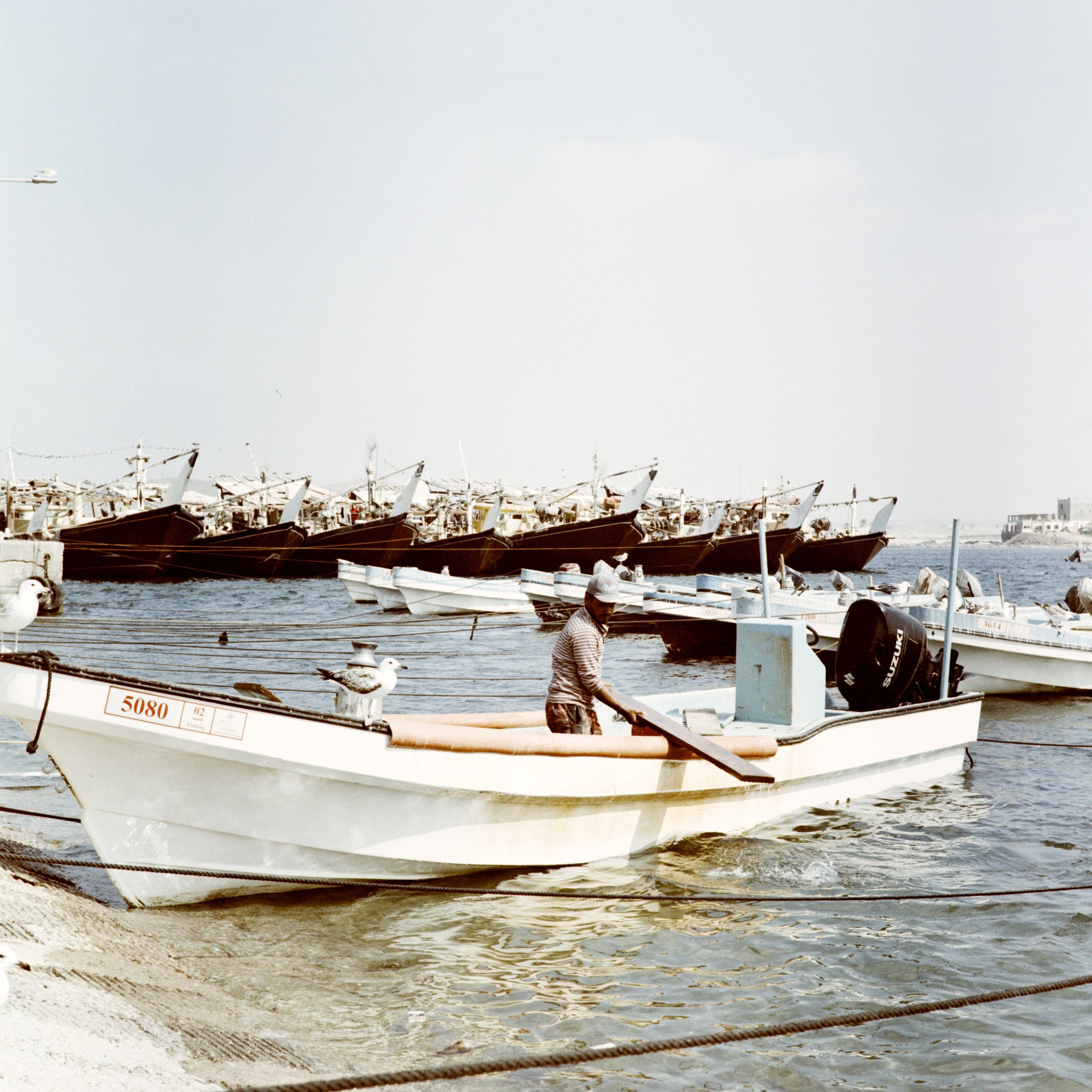 mirbat, dhofar, oman