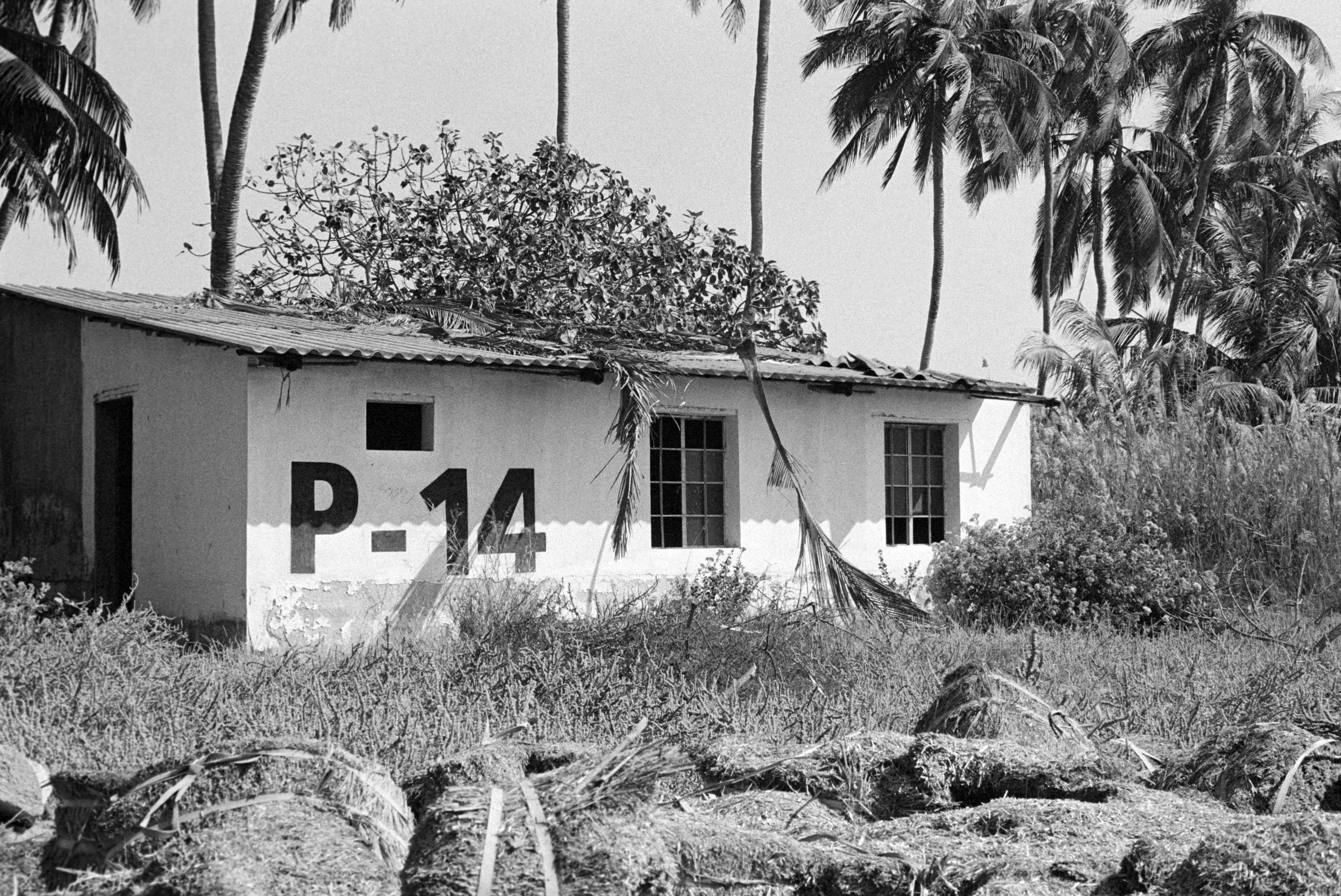 mirbat, dhofar, oman