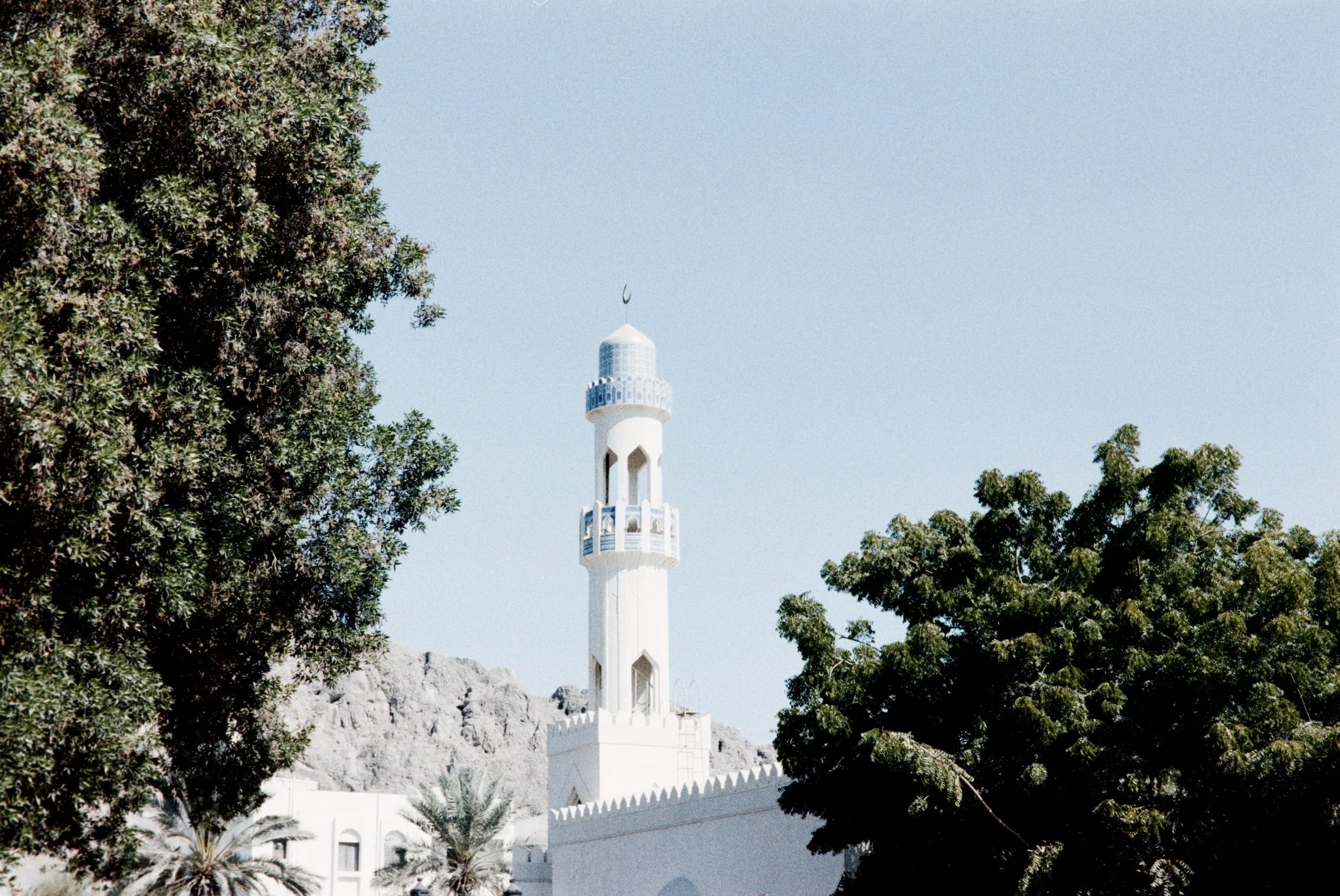 ilford vintage tone 400