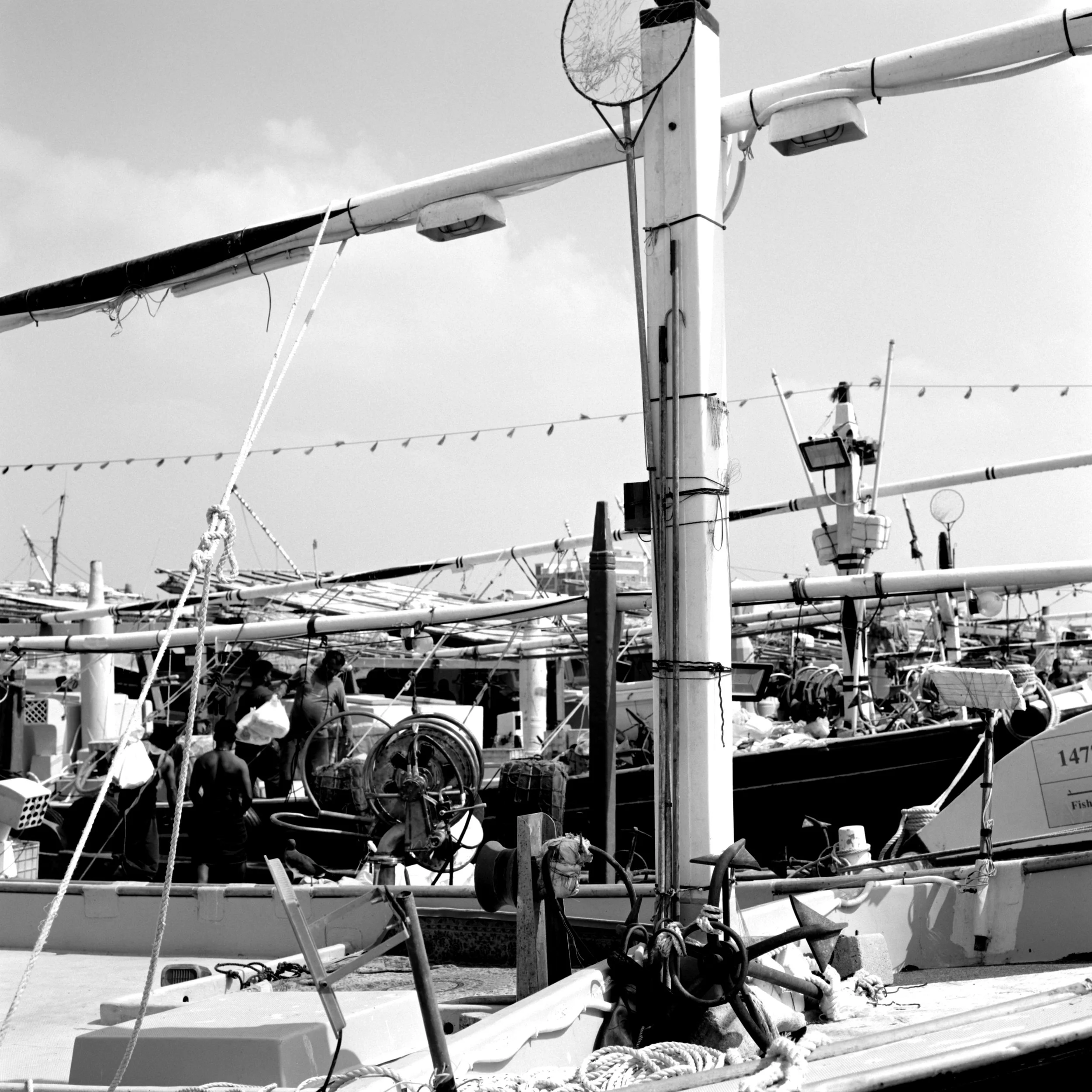 mirbat, dhofar, oman