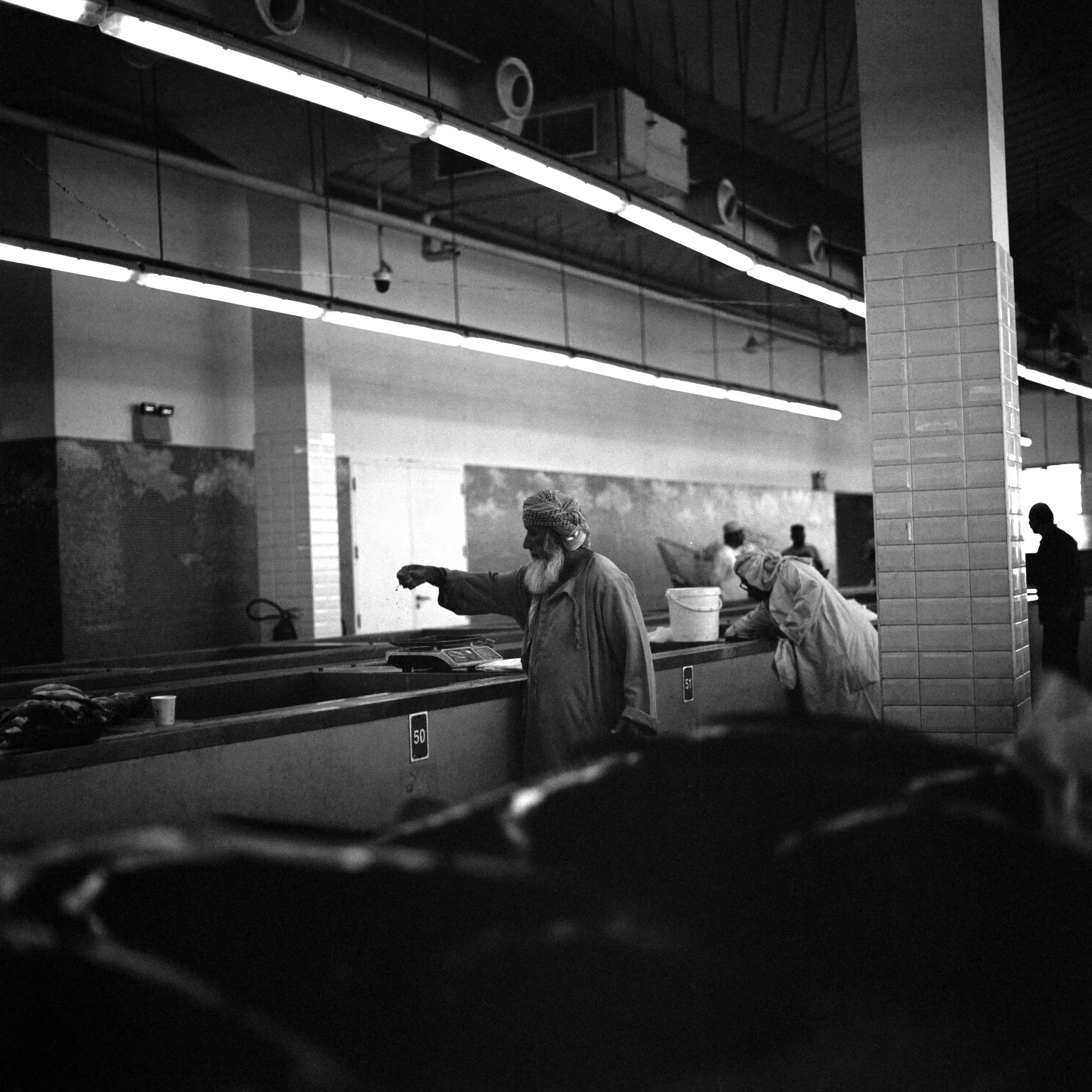 catlabs x film 320 pro