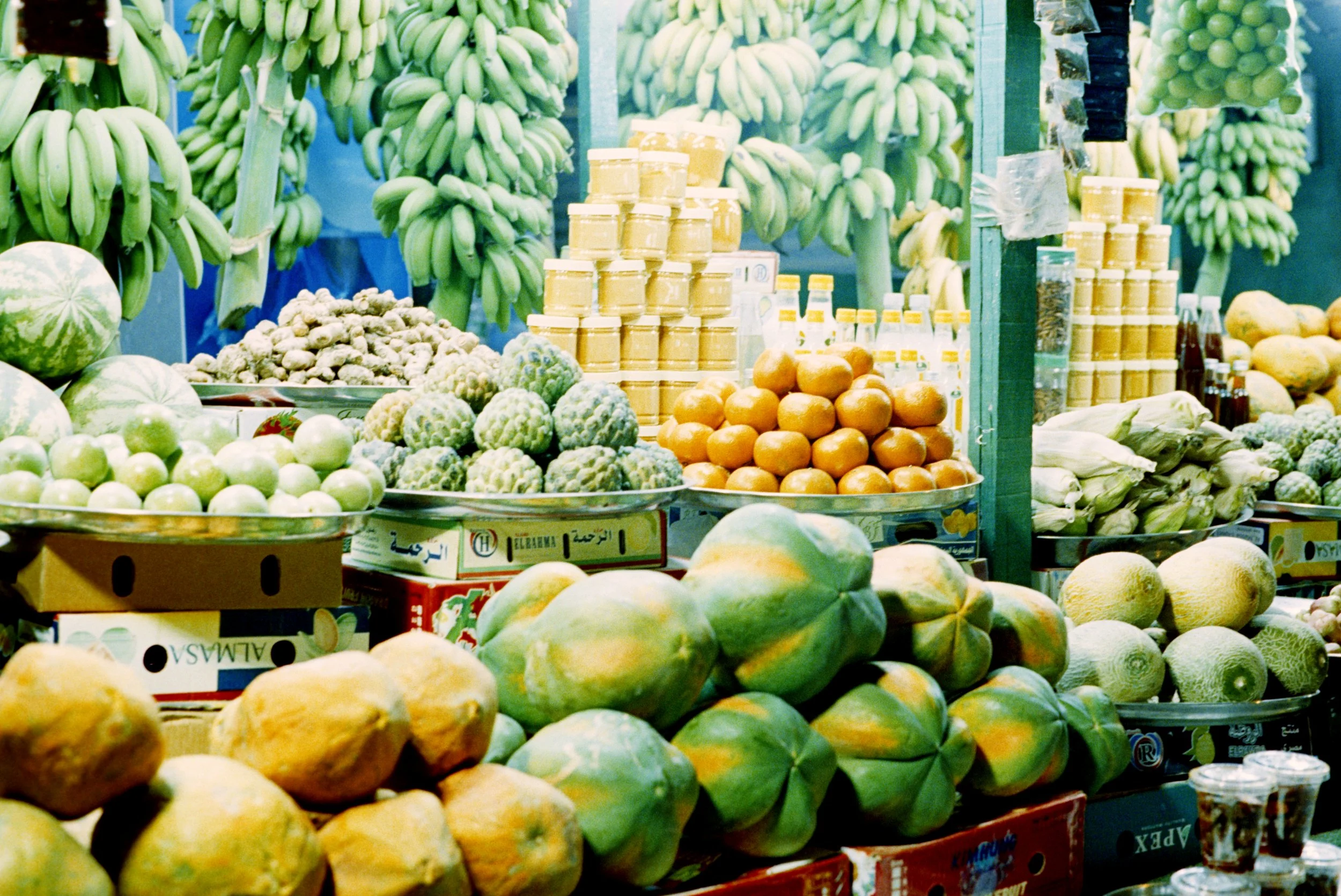 salalah, dhofar, oman