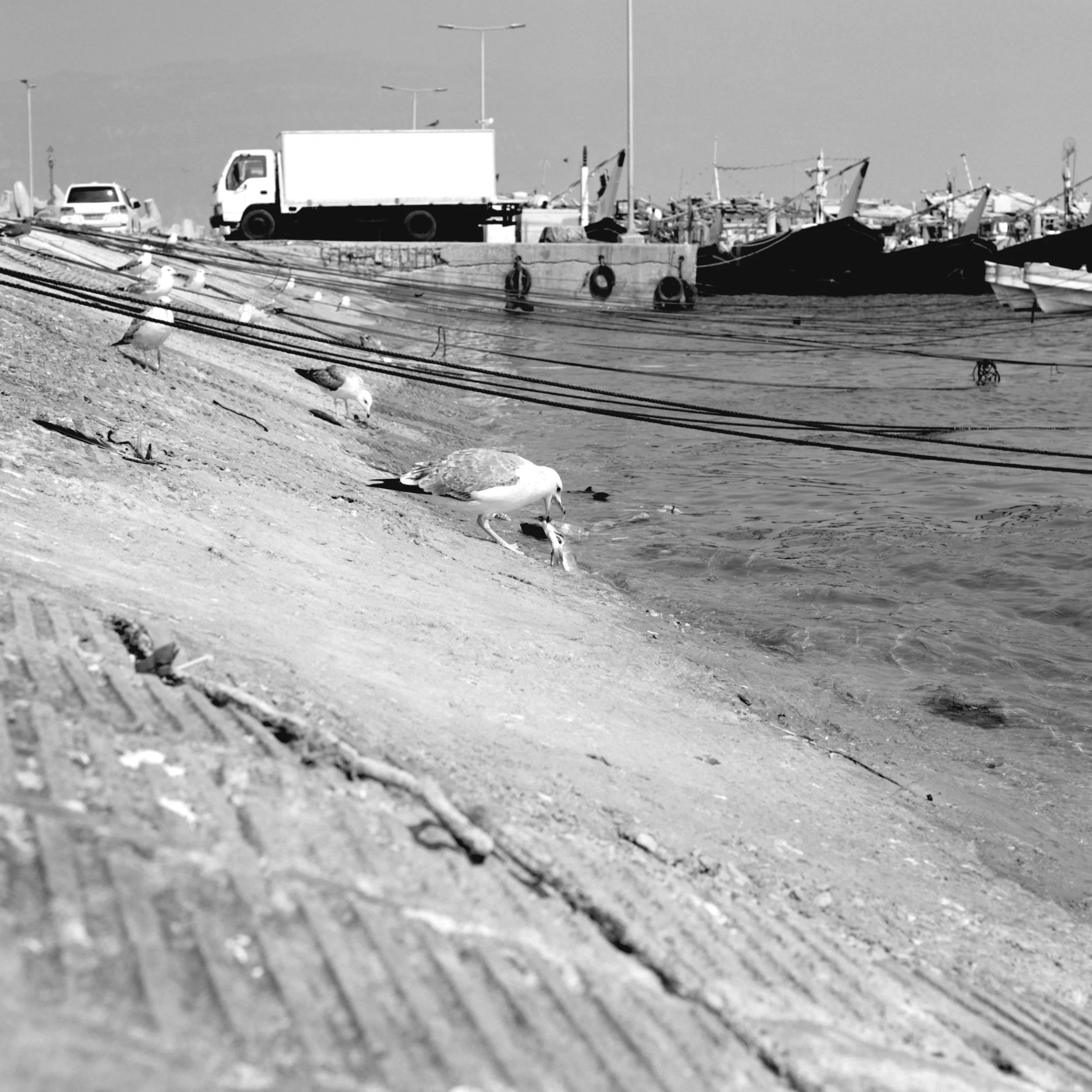 mirbat, dhofar, oman