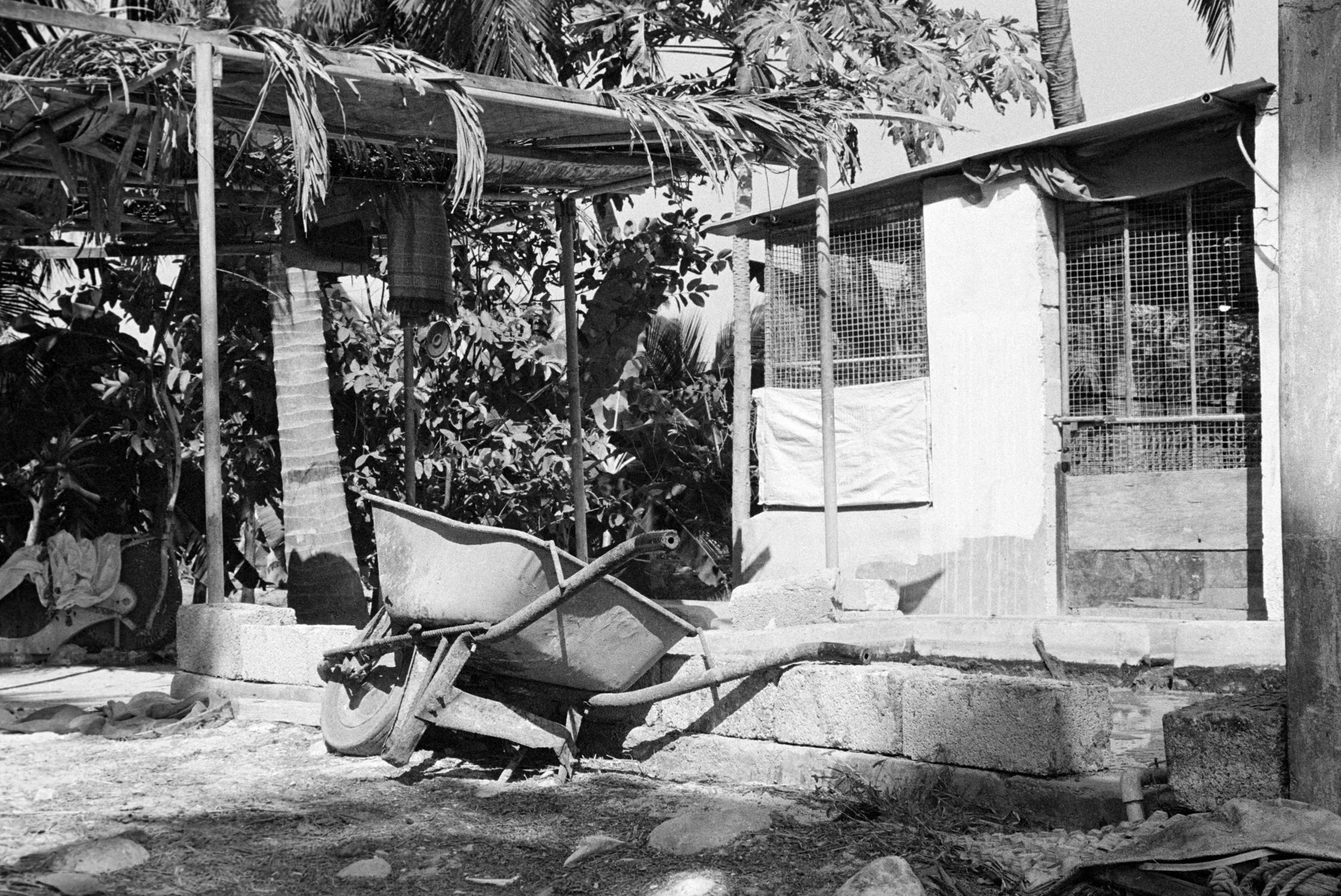 mirbat, dhofar, oman