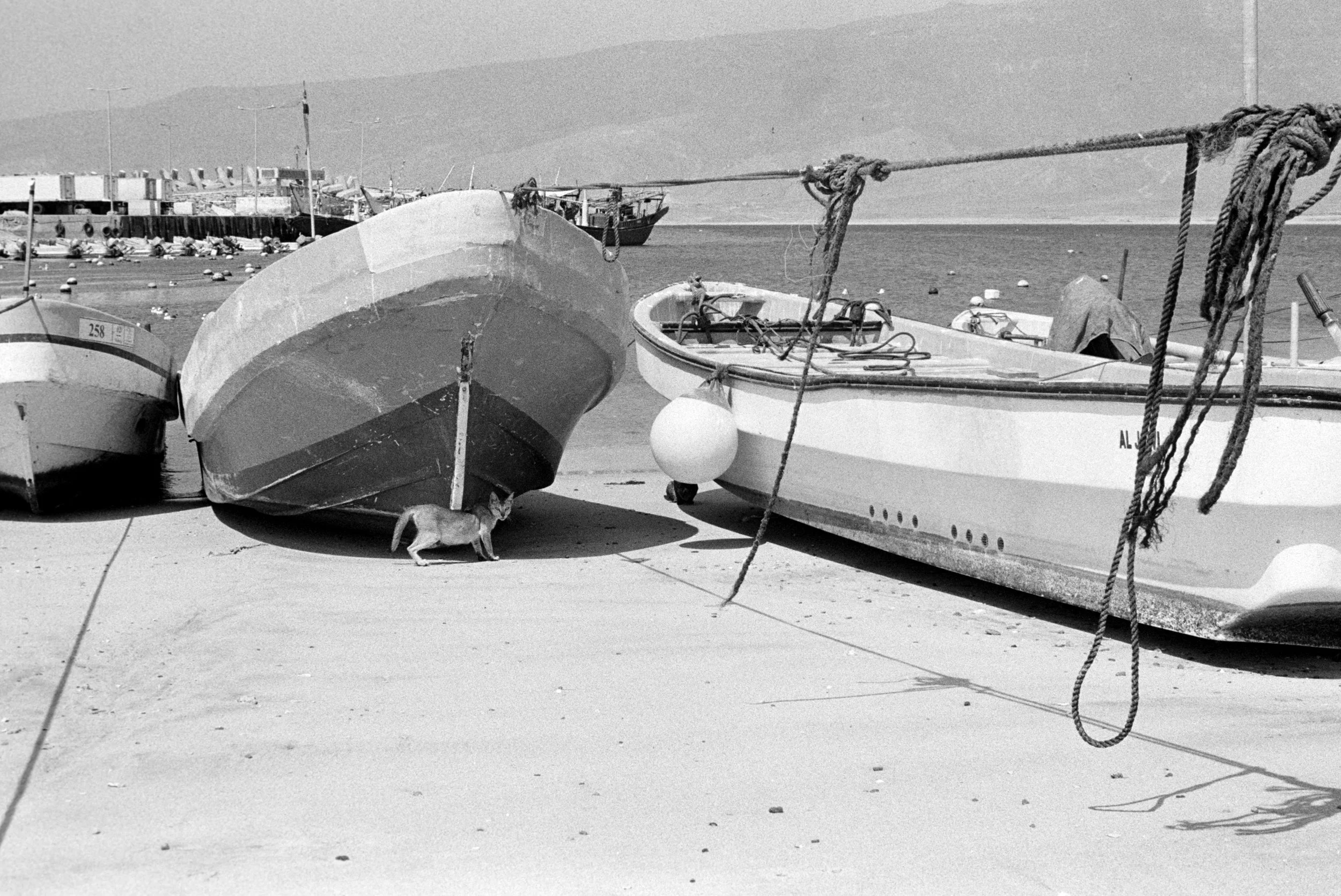 mirbat, dhofar, oman