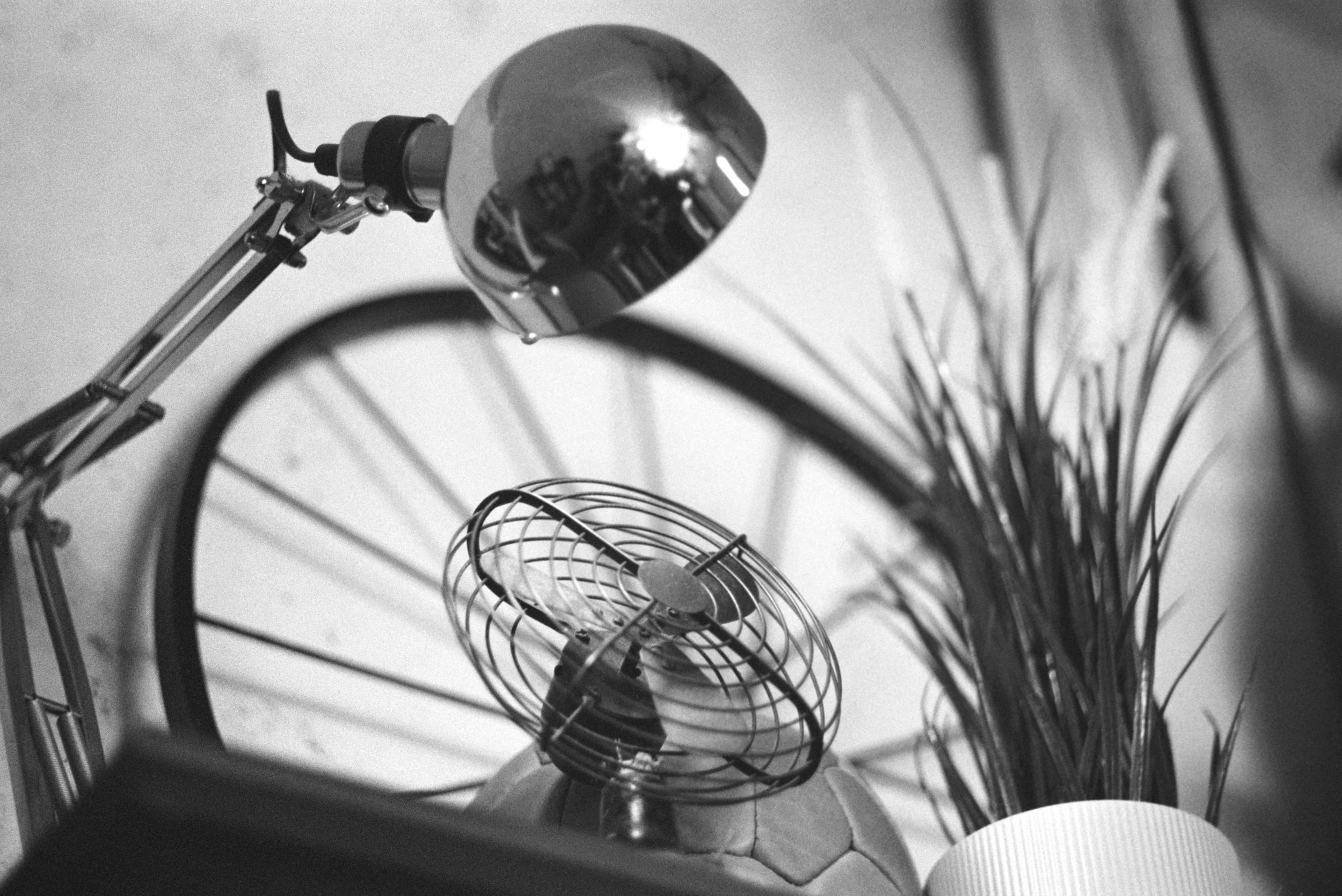 lomography potsdam kino 100, salalah, oman