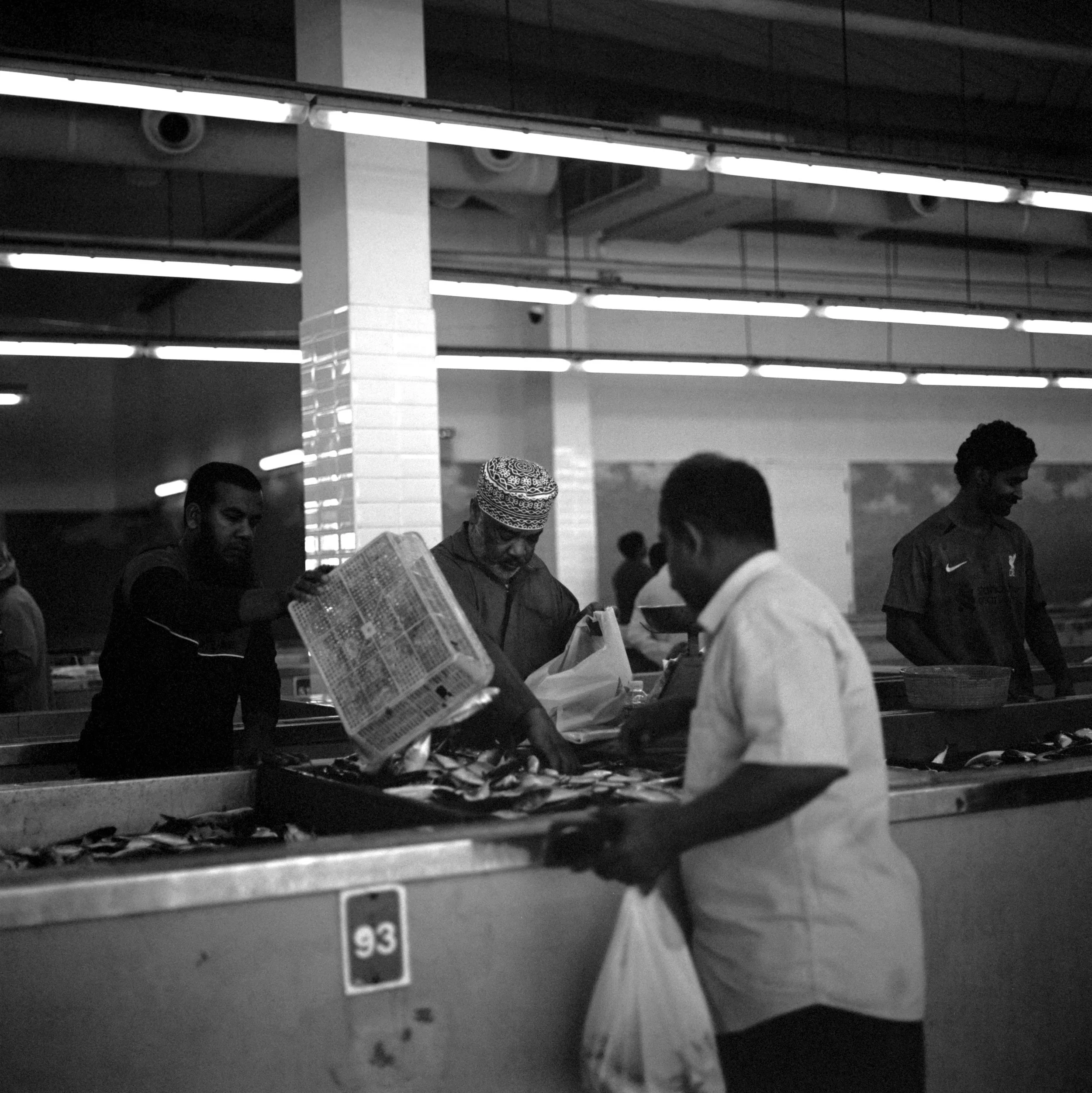 catlabs x film 320 pro