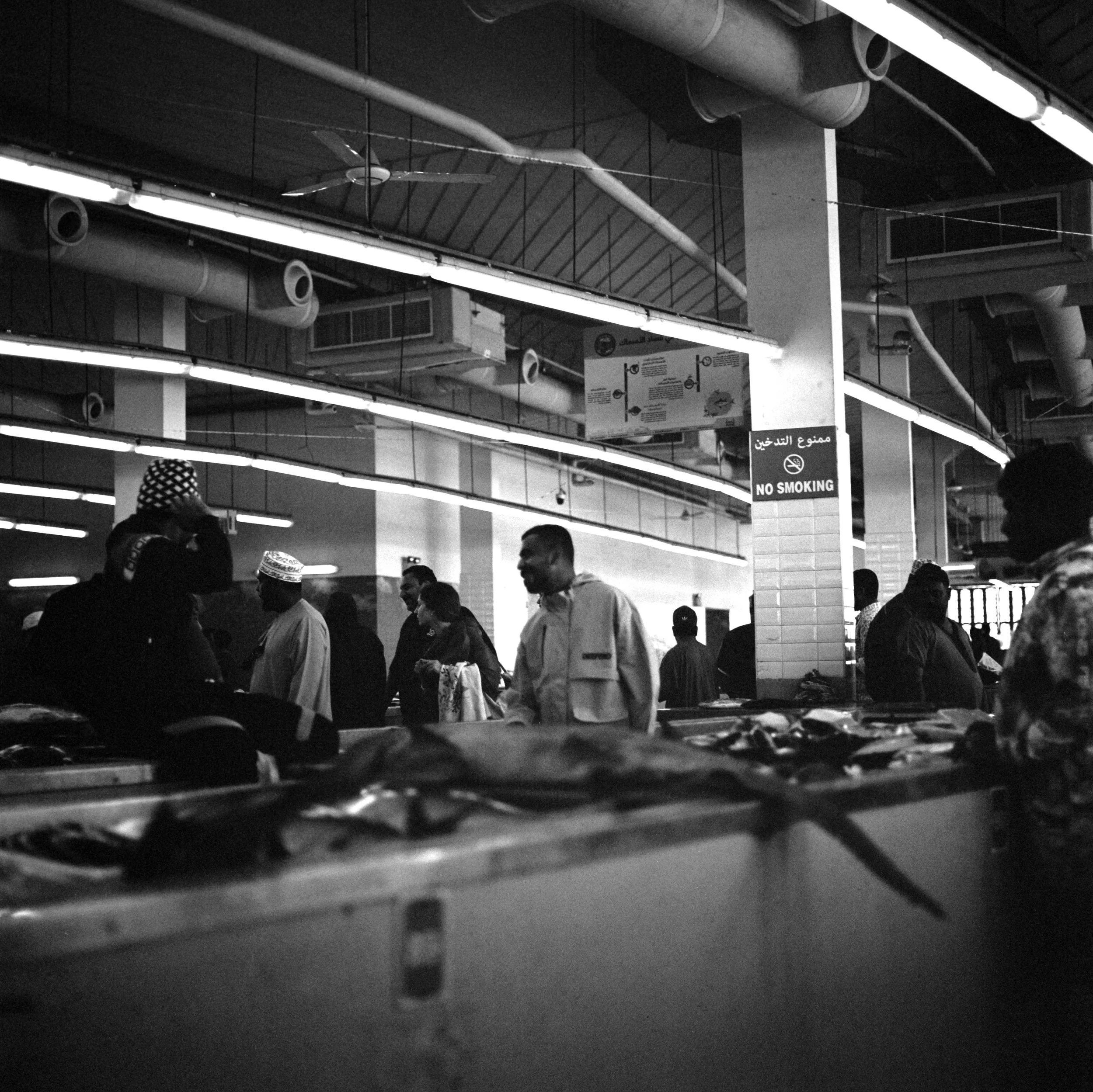 catlabs x film 320 pro