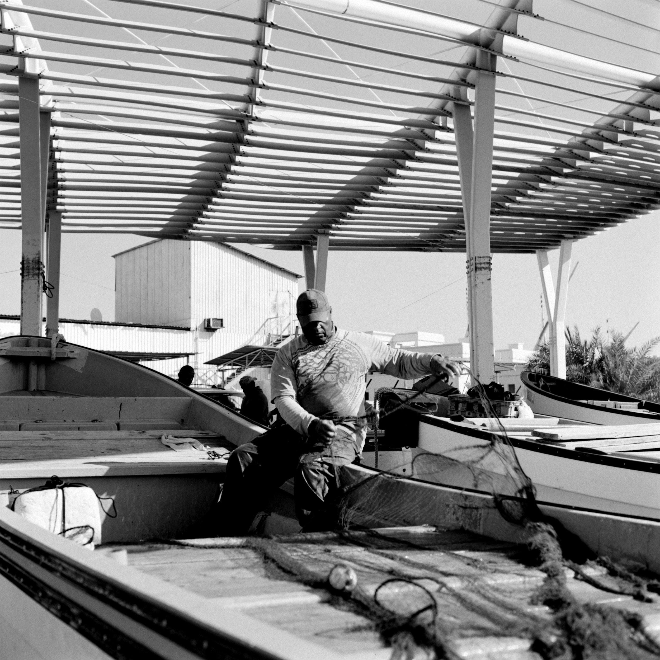 catlabs x film 320 pro