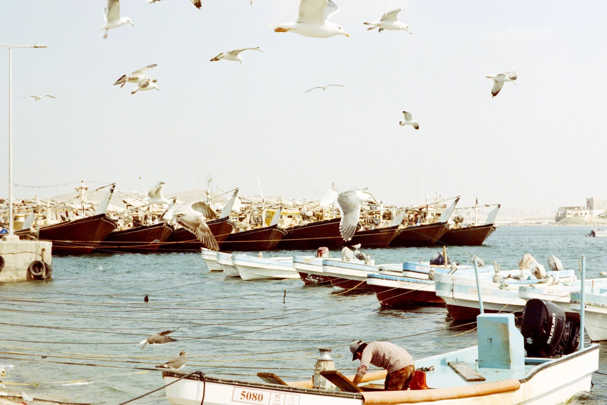 mirbat, dhofar, oman