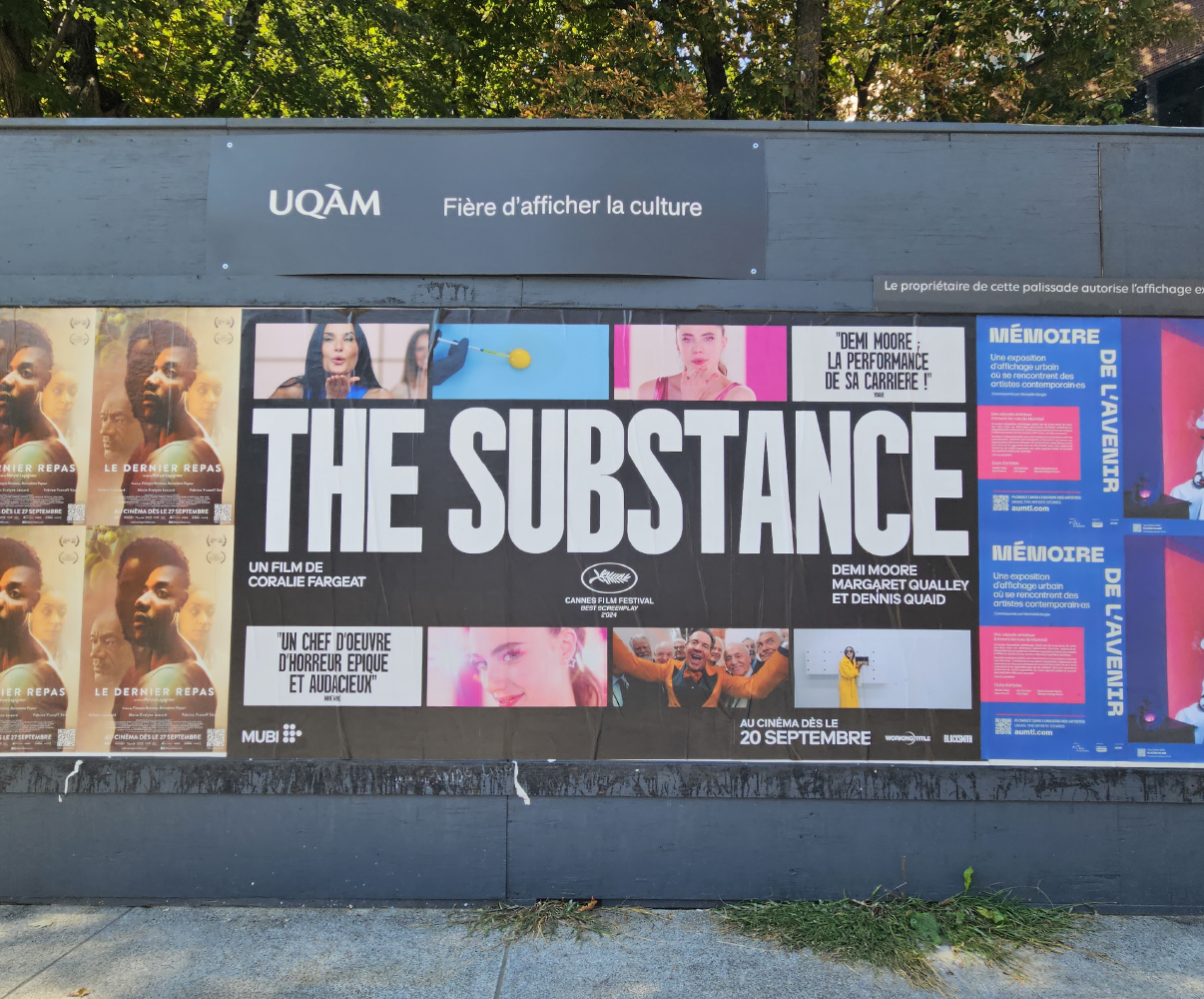 Screenshot 2025-08-19 at 9.41.44 AM.png