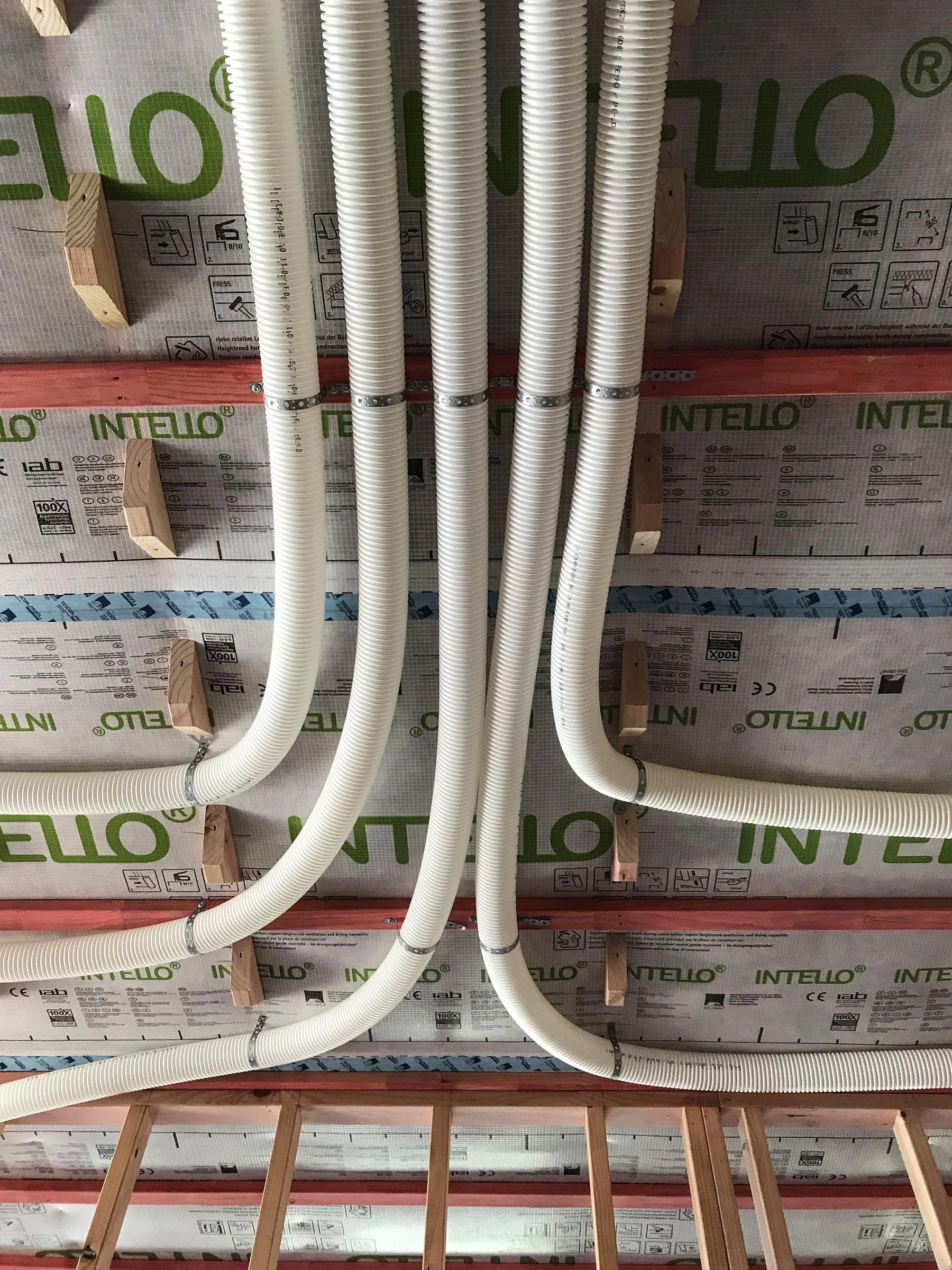 2018-08-25 12.00.09.jpg