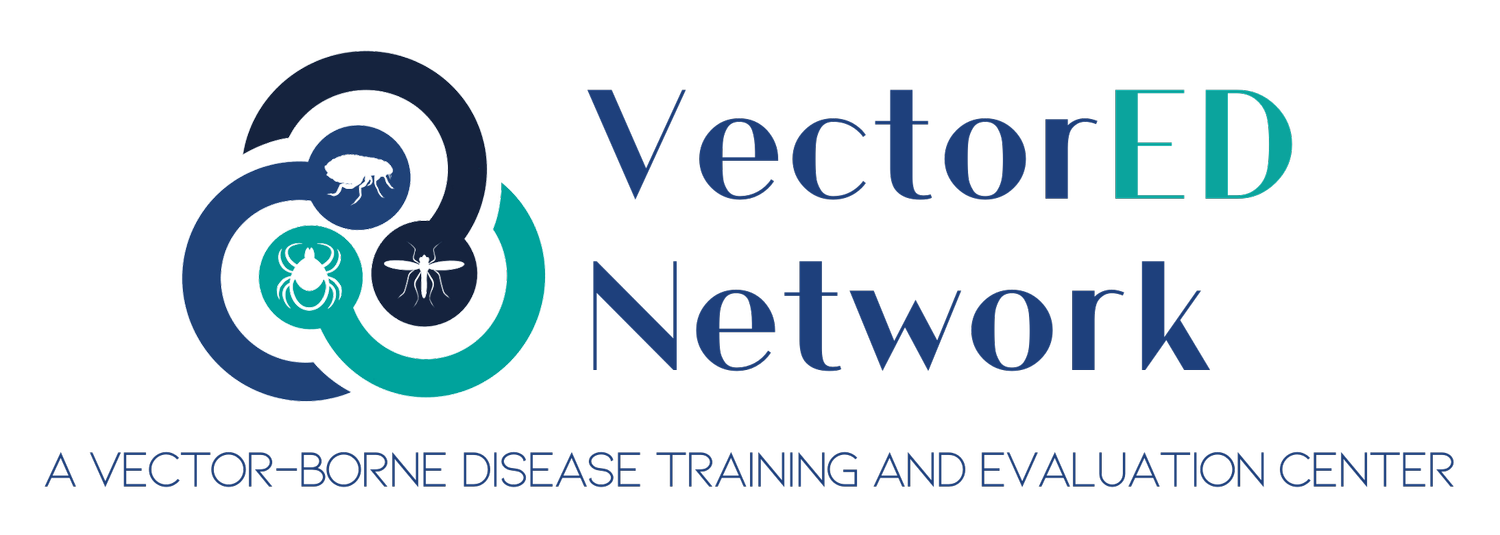 VectorED Network