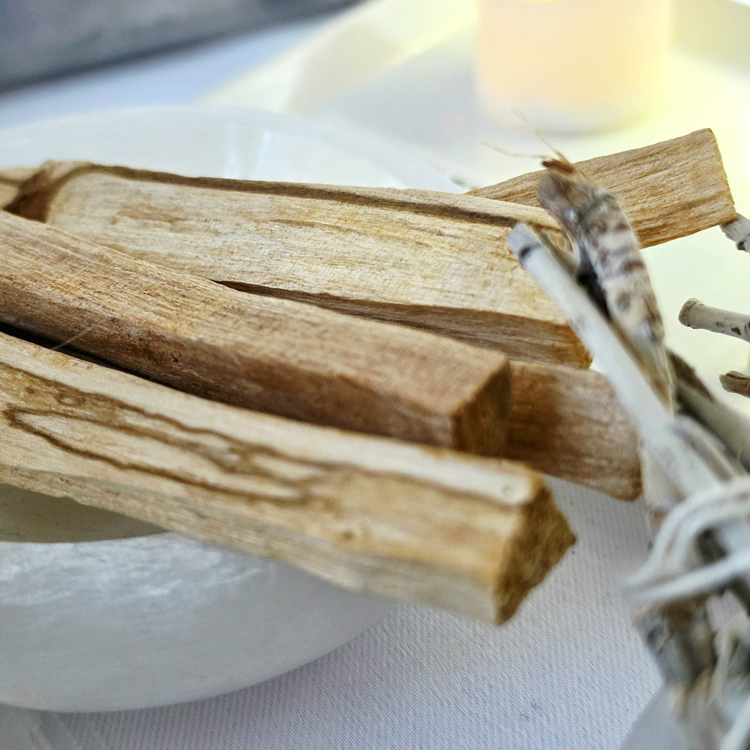 Palo Santo Sticks