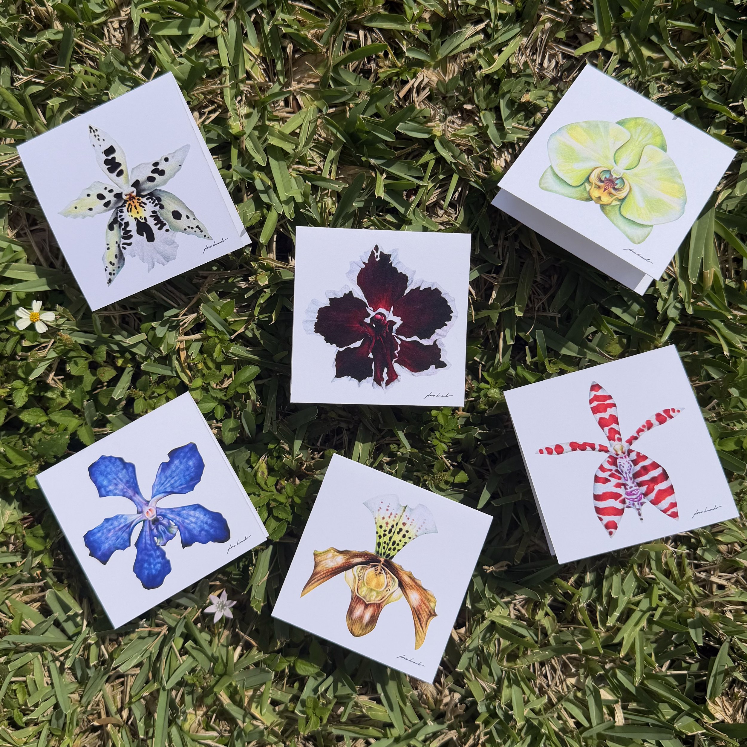Orchid Stationary by Gloria Hernando.jpg