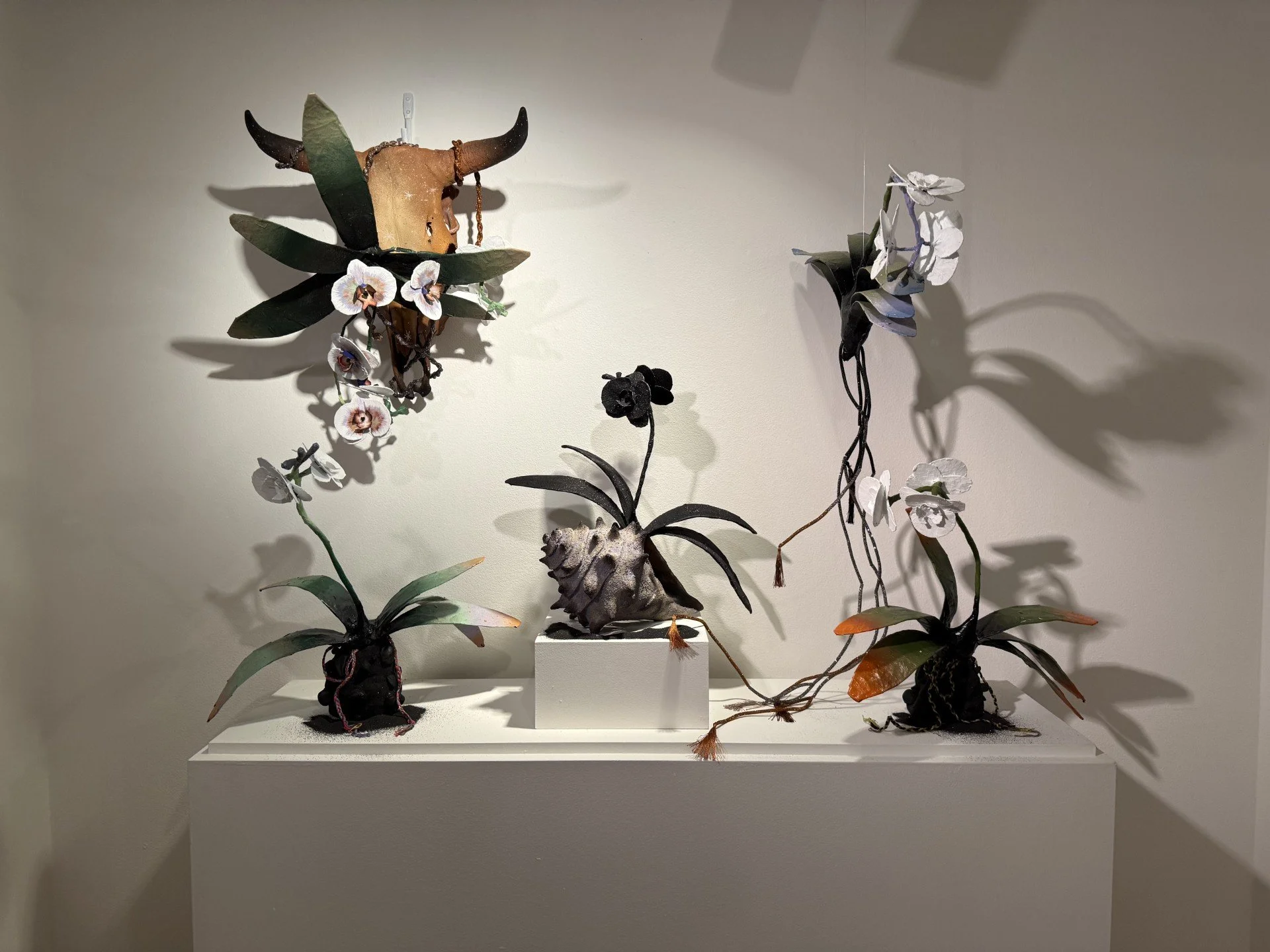 "ROOTS" Orlando Museum of Art by Gloria Hernando