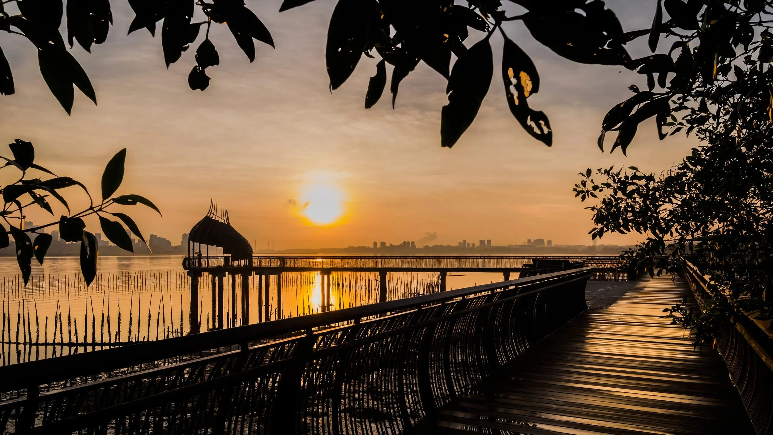 singapore nature tour