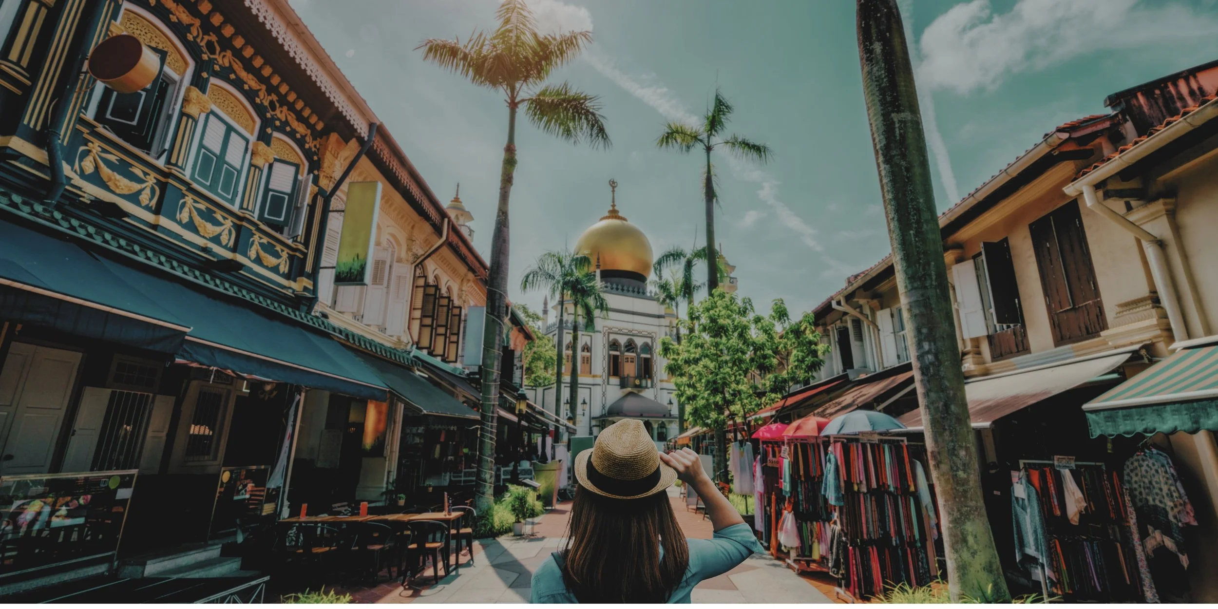 singapore island tour