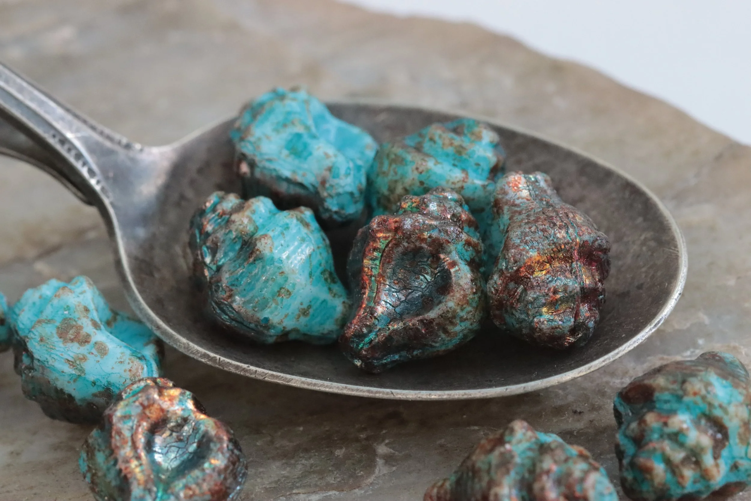 Bronze Iris & Sky Blue Czech Glass Seashell Beads 15x12mm