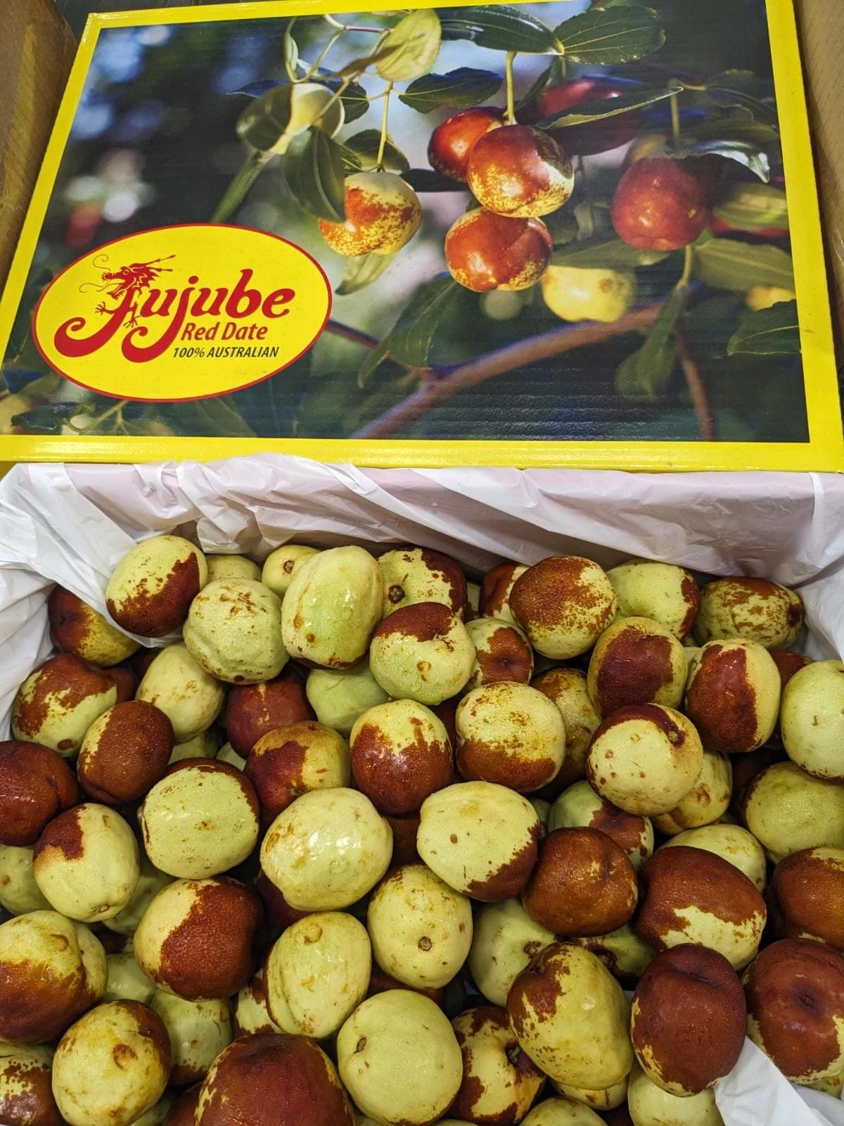 JUJUBE - 4kg
