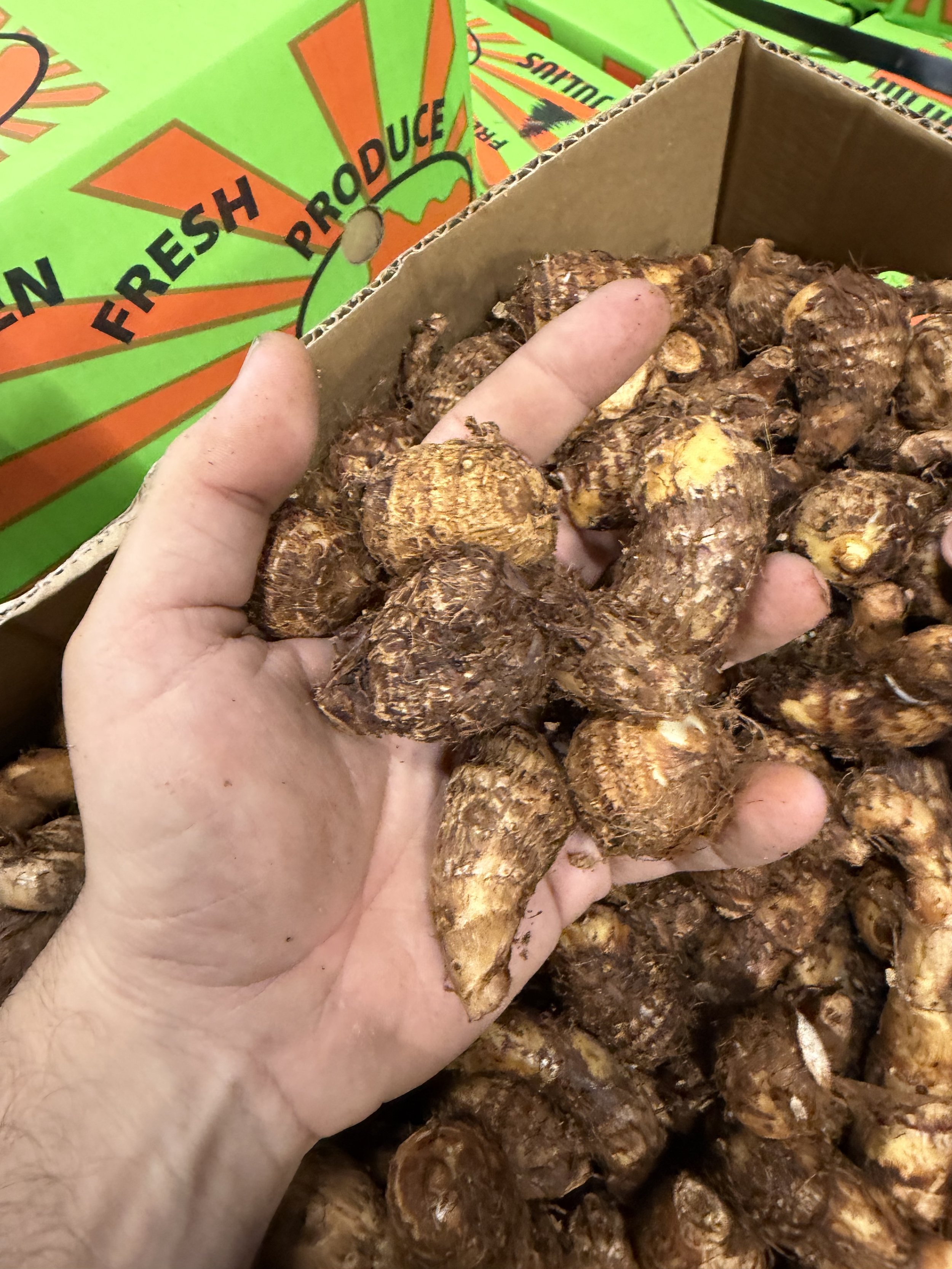 Baby Japanese Taro - 10kg