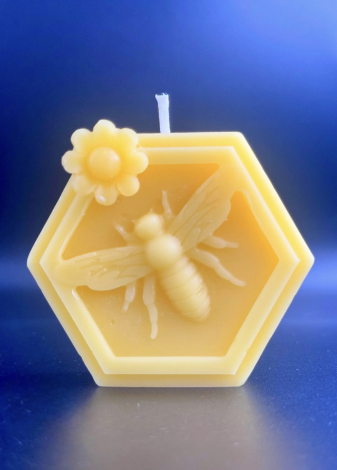 Screenshot 2026-01-16 at 9.52.44 AM.png