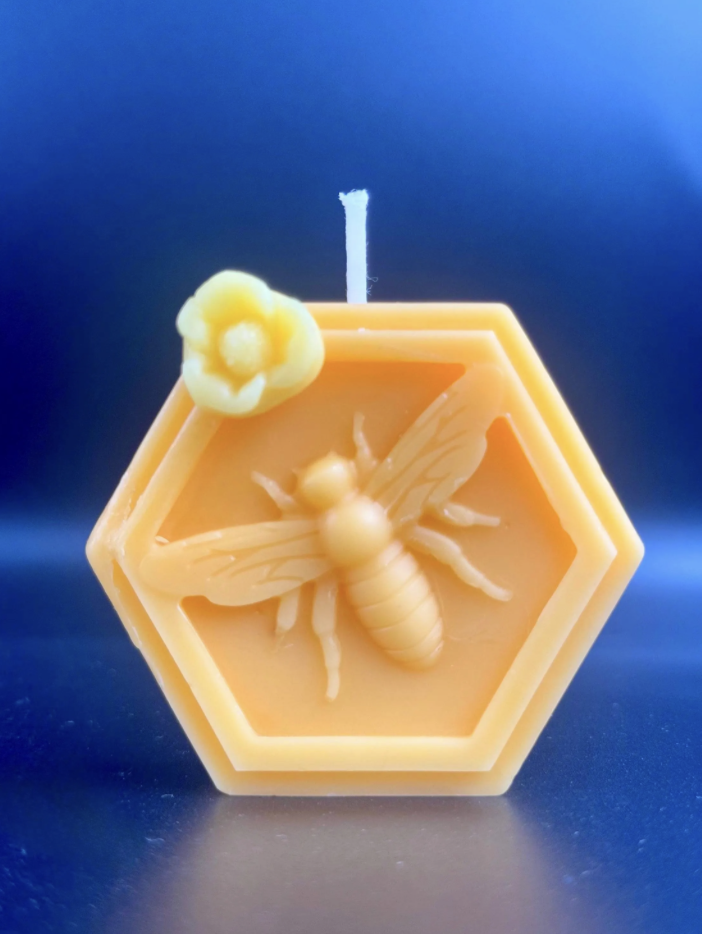 Screenshot 2026-01-16 at 9.52.51 AM.png