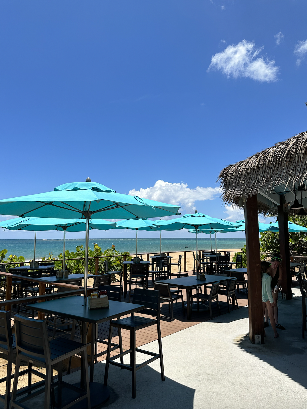 Screen Shot 2023-07-18 at 11.22.40 AM.png