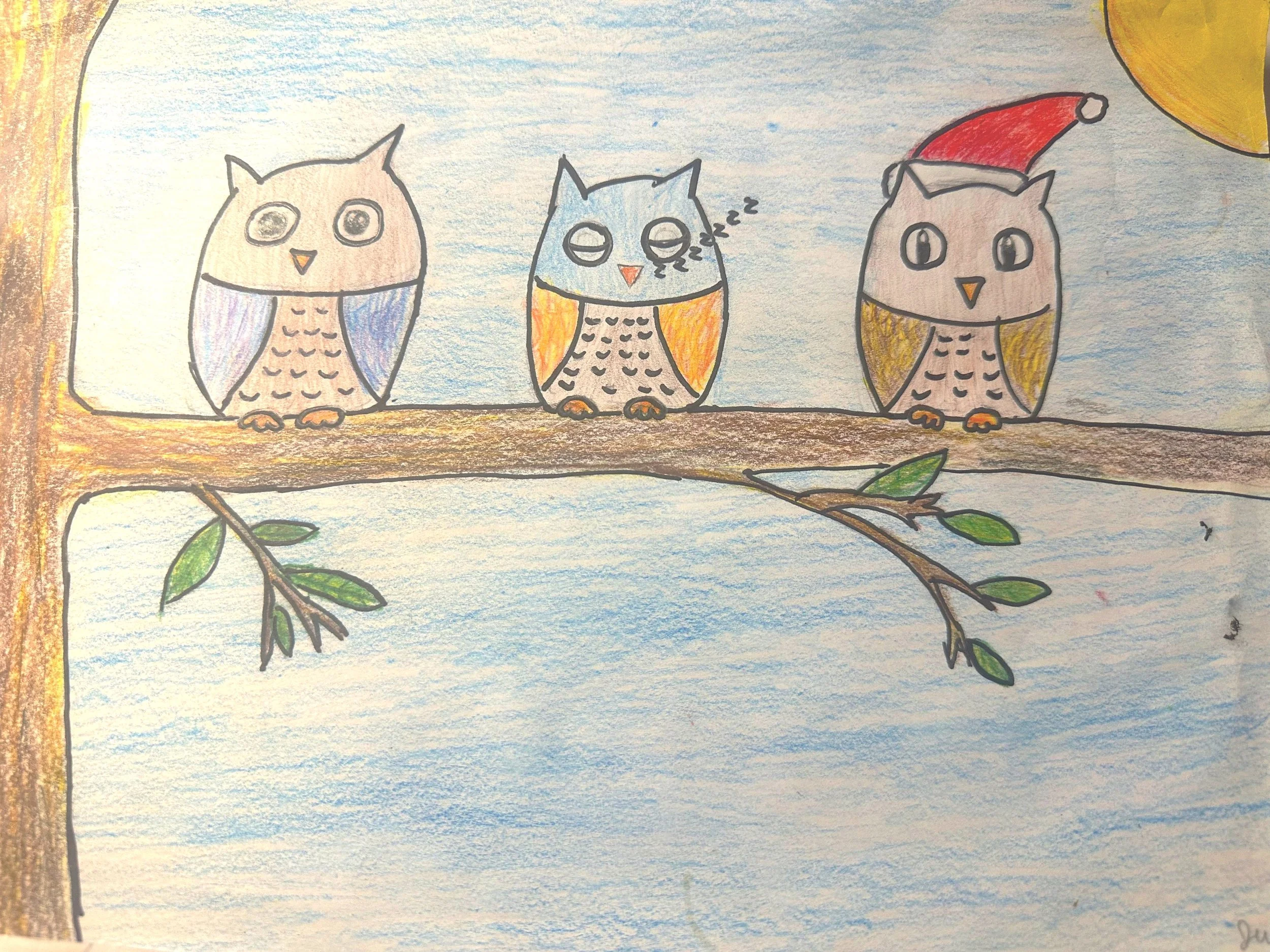 owls.jpg