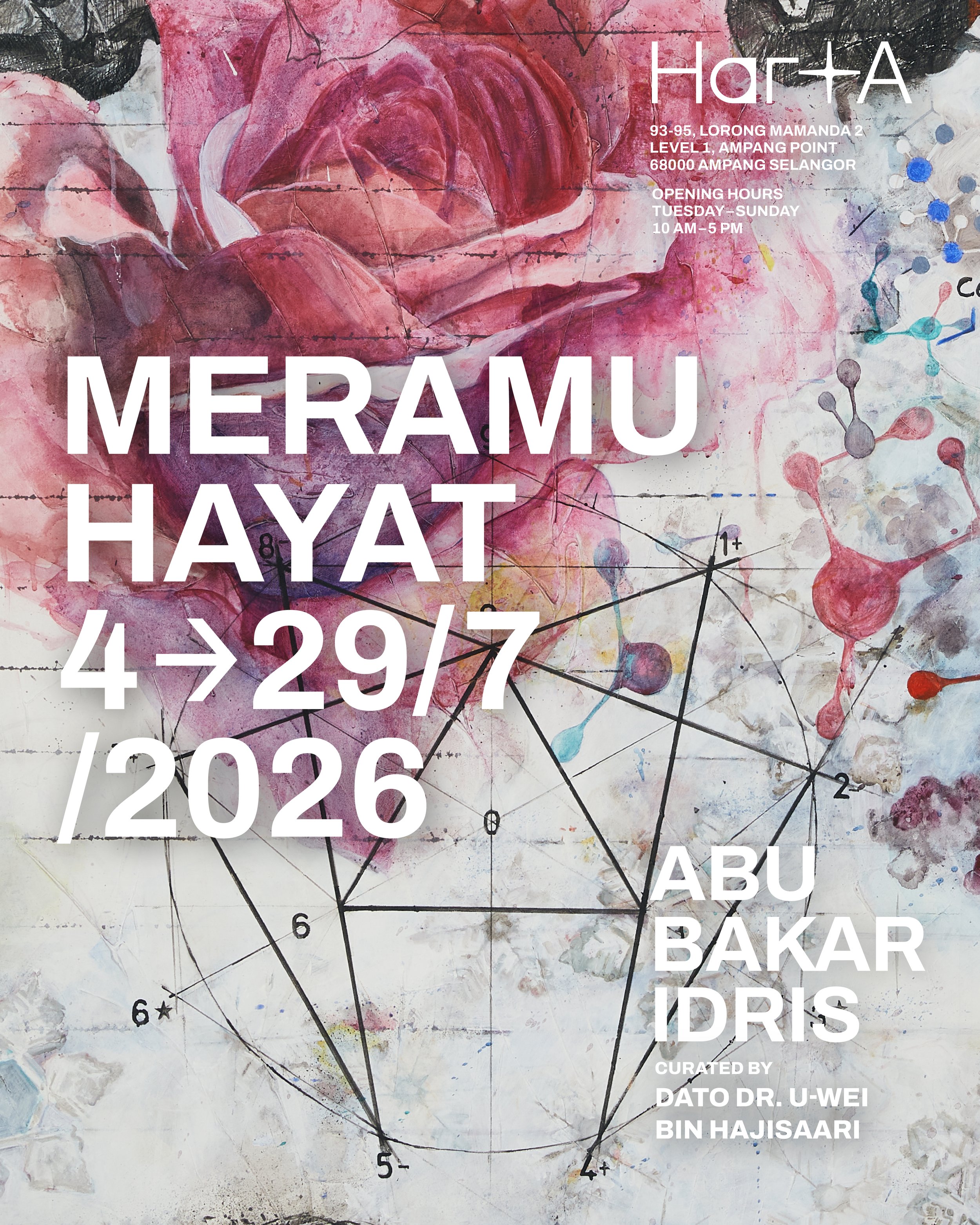 Meramu Hayat Exhibition.jpg