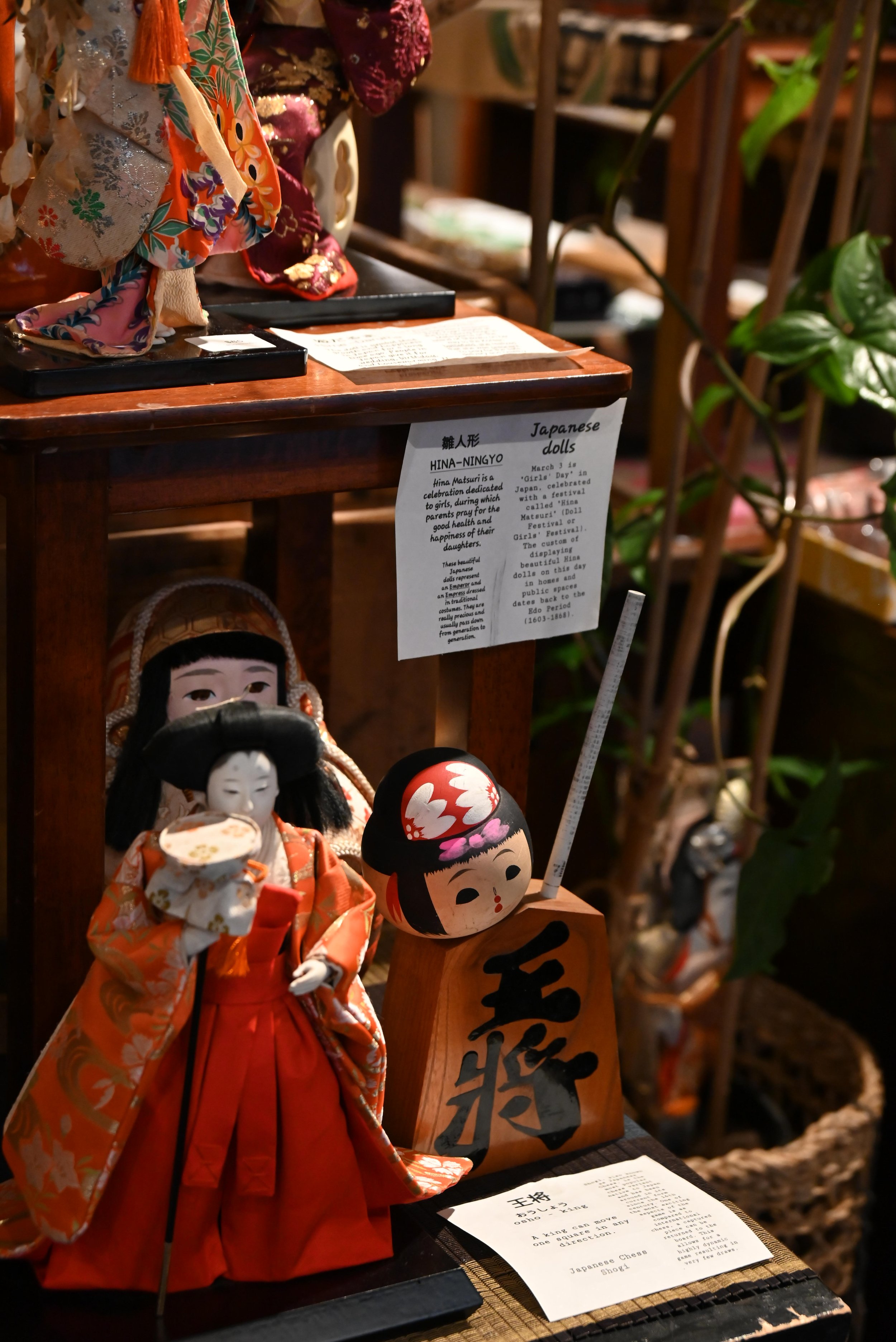 DSC_5111.jpeg