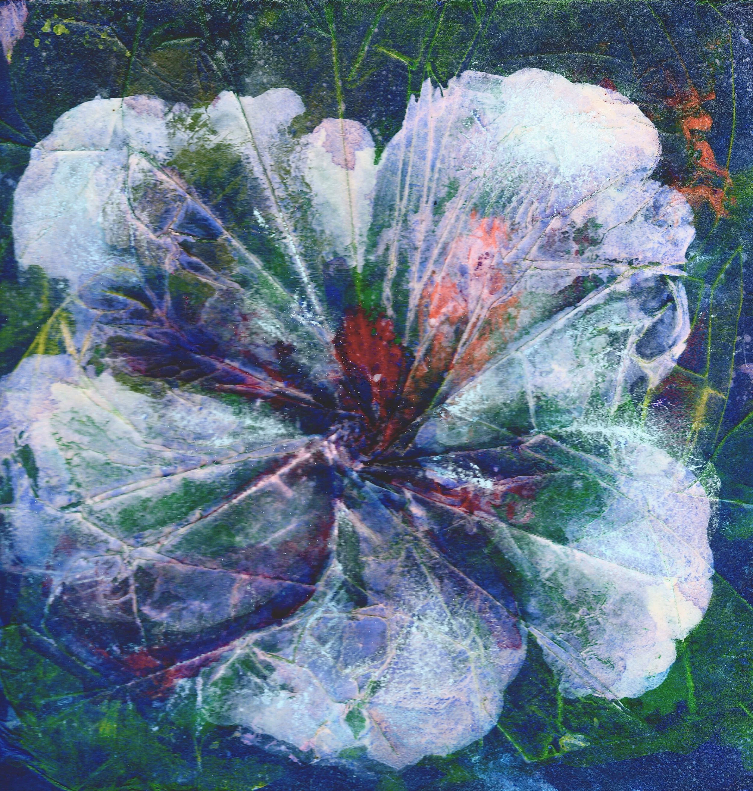 "Hibiskus" Acryl Pavatex 21x21