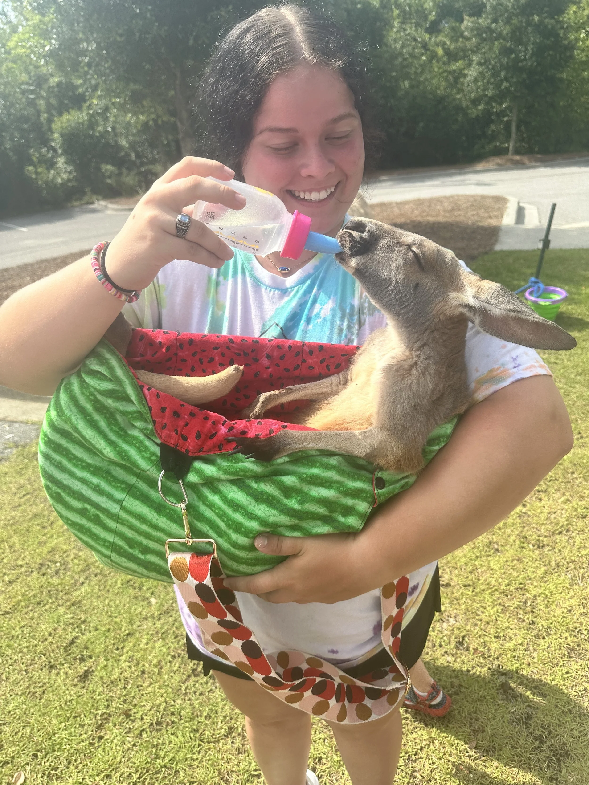 A woman outdoors holding a small goat in a watermelon-themed bag, feeding it with a bottle.