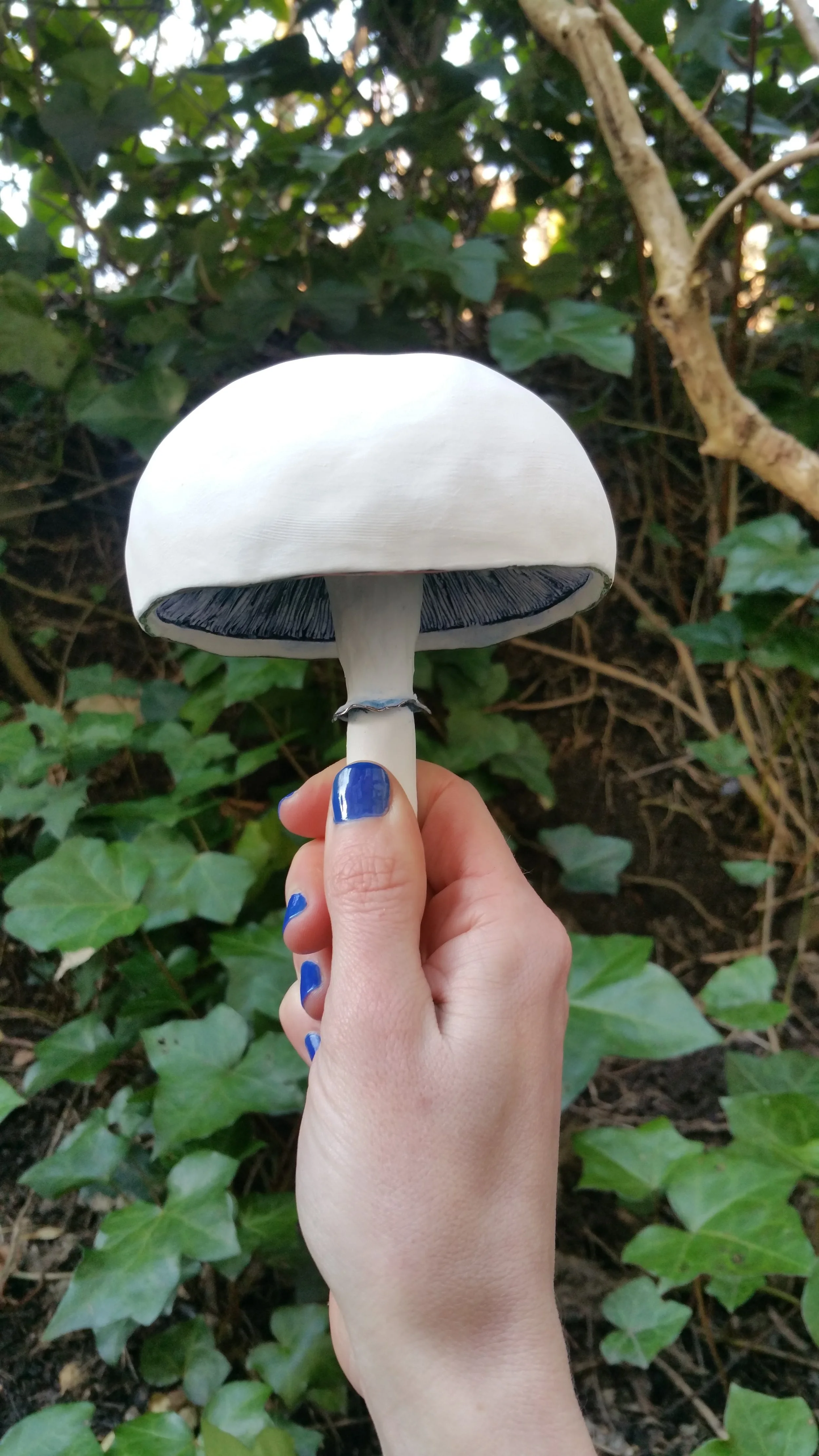 Ceramic Mushrooms
