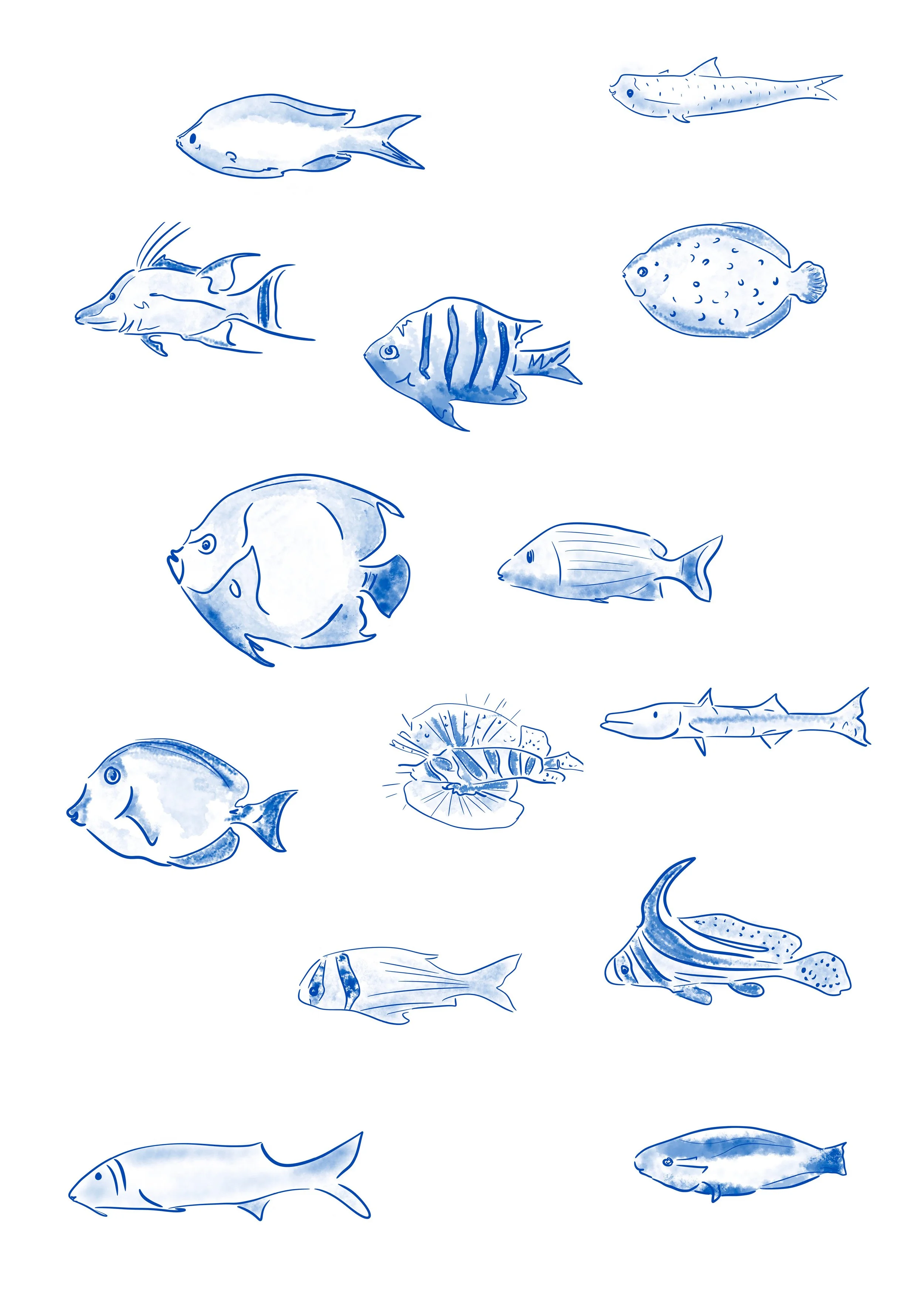 Fishy.jpg