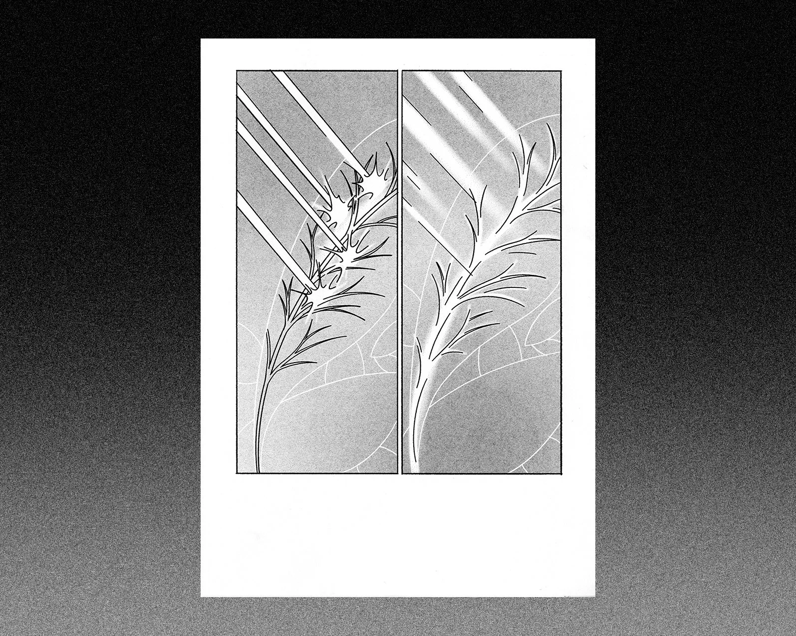 SCAN65_bruit.jpg