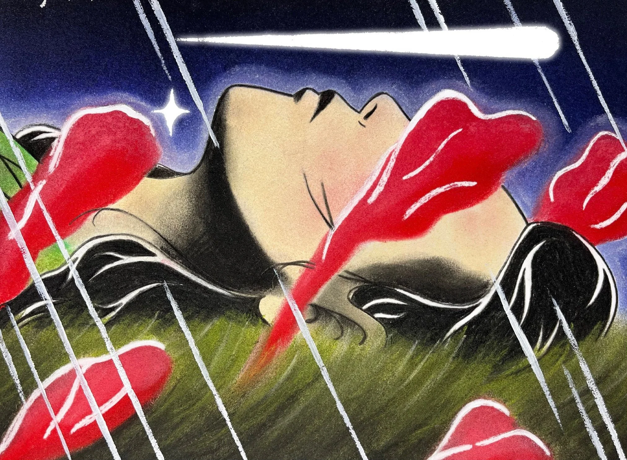 Femme allongée dans l’herbe au milieu de la nuit étoilée, entourée de fleurs, coquelicots, pâquerettes. Elle semble s’assoupir en regardant les étoiles filantes. Un sourire semble se dessiner subtilement.