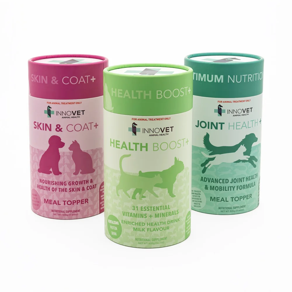 Can I Give Human Protein Powder to My Dog: Risks & Safe Alternatives