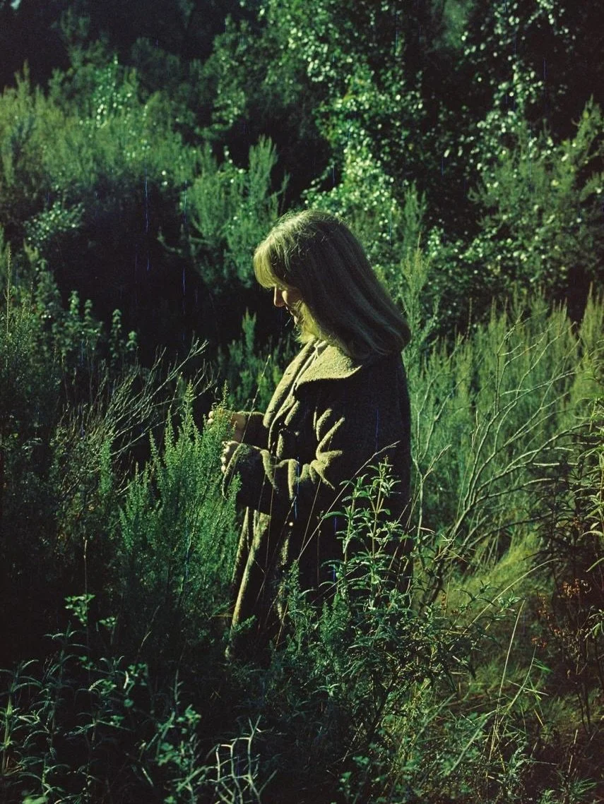 L'hivern demana desvestir-se del que ha arribat al seu final.

I tenir la certesa que sempre torna la primavera.