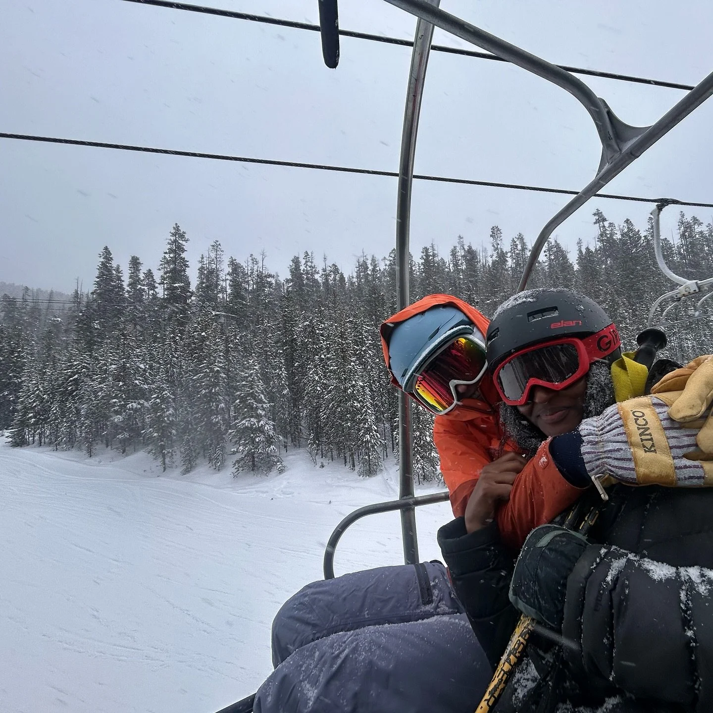 becoming very well-versed in brands of dog treats and types of snow
