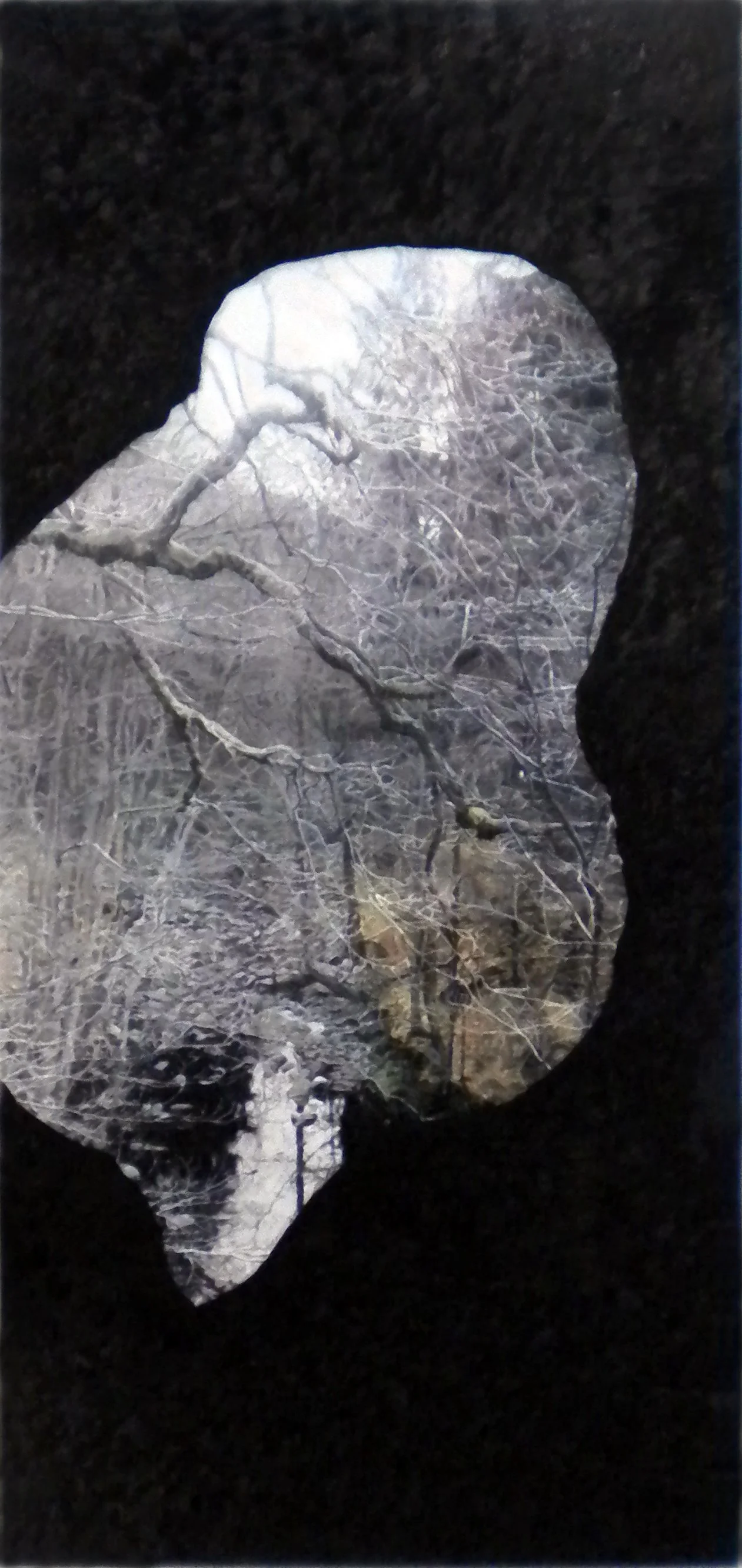 "Landschaftsform IV (Ast)",  170 x 80 cm, Öl auf Holz, 2016