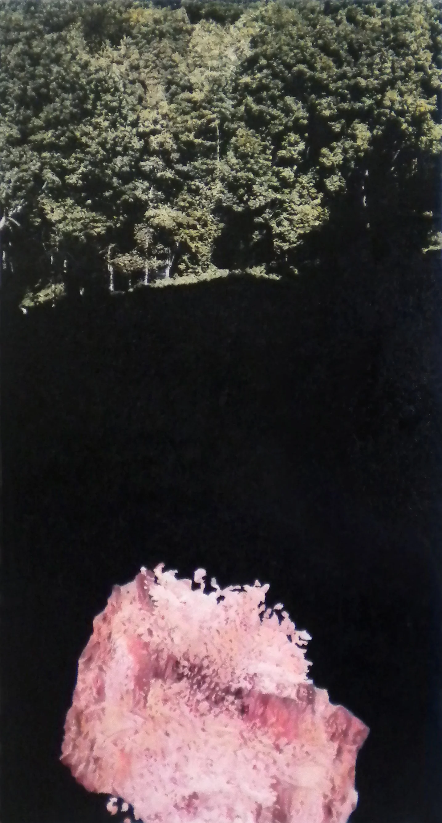 "Waldblick oder das Rosa kommt", 152 x 80 cm, Öl auf Holz, 2016