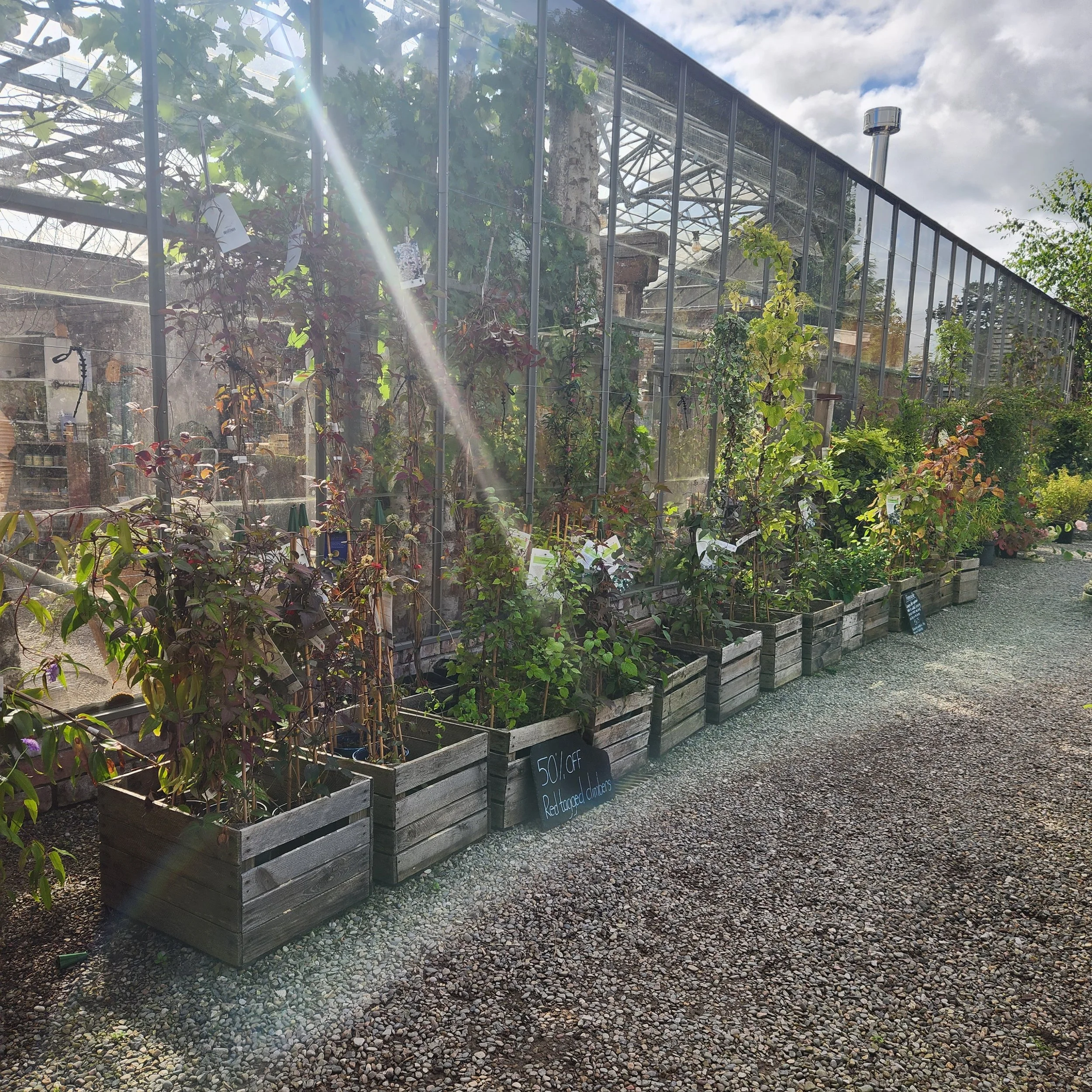 50% off selected climbers