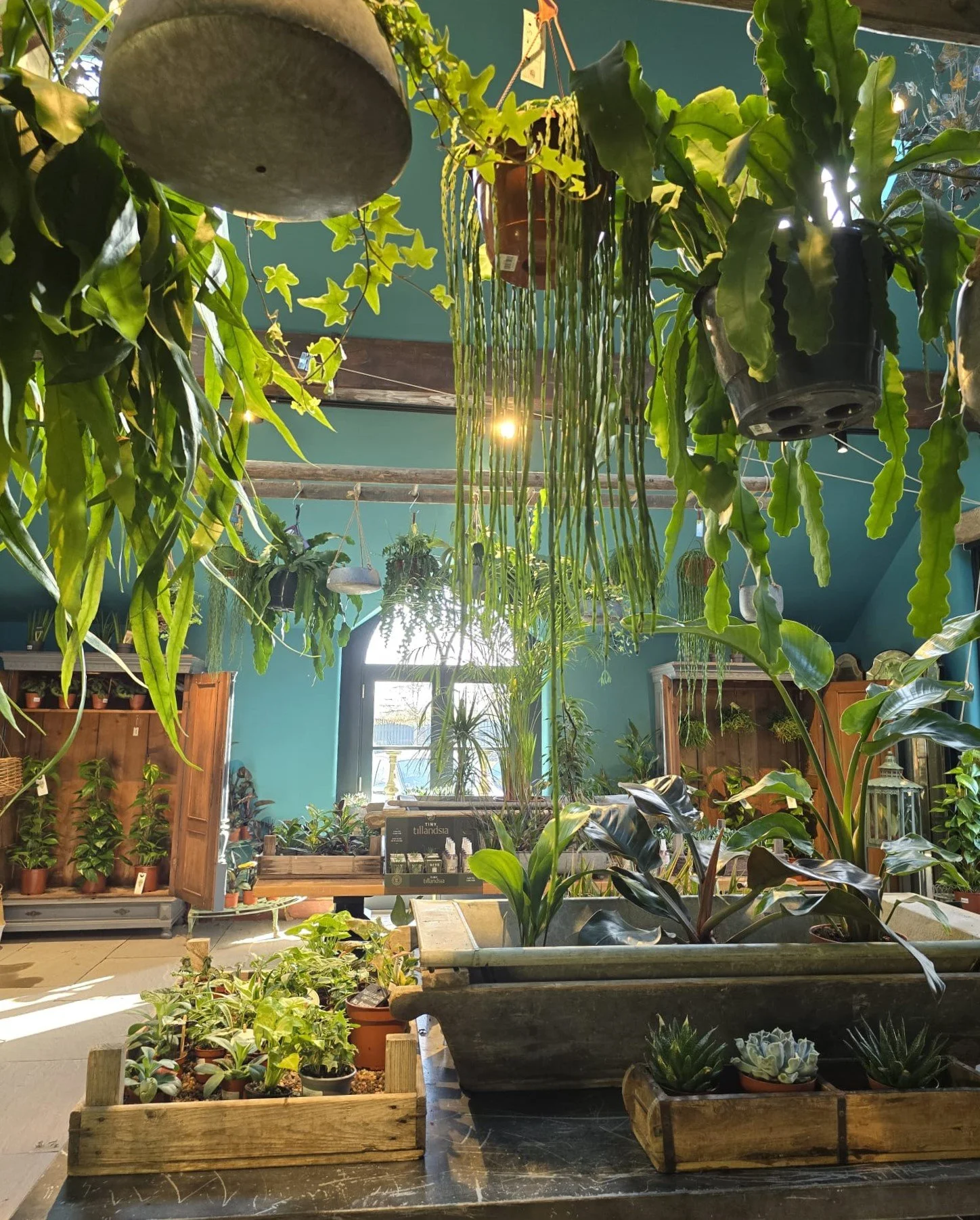 WhatsApp Image 2024-03-05 at 14.44.23 (3).jpeg