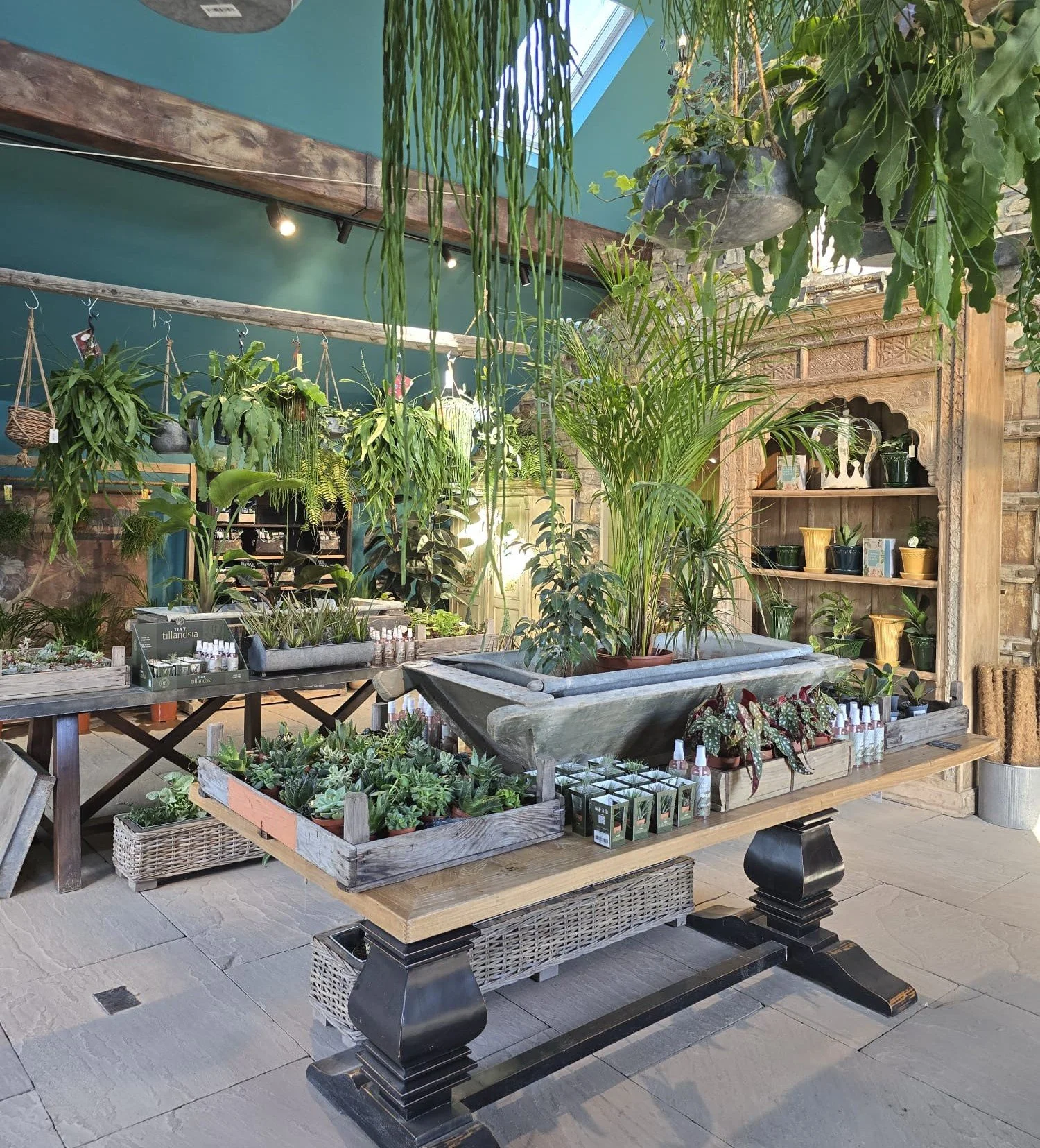 WhatsApp Image 2024-03-05 at 14.44.23.jpeg