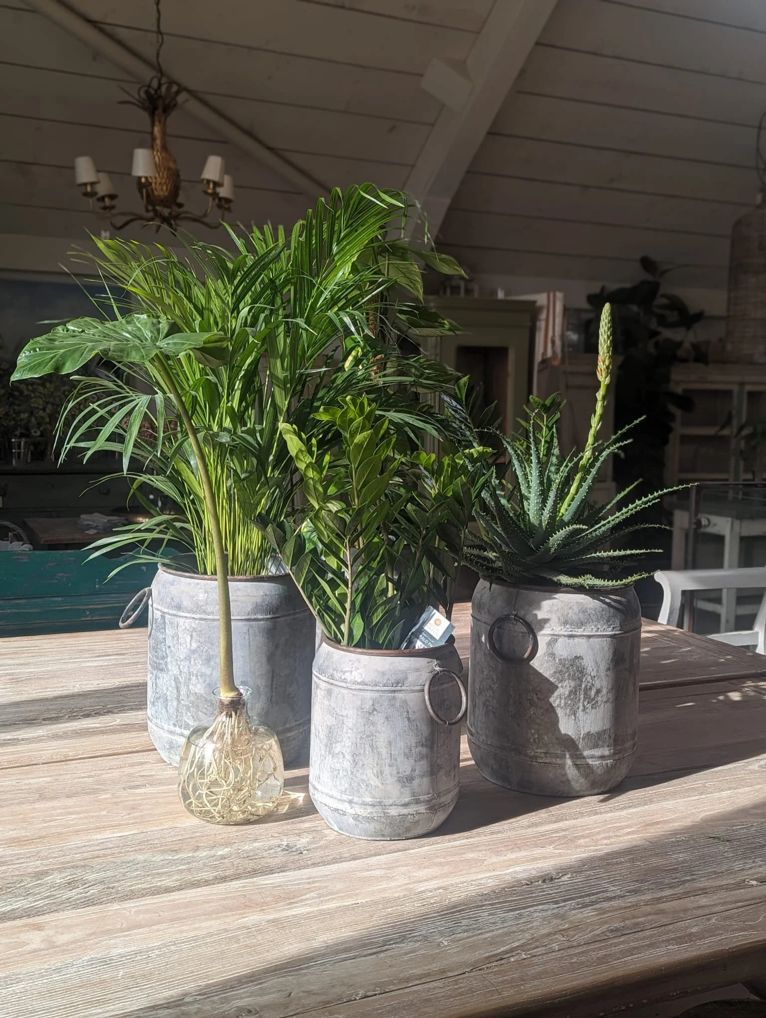 WhatsApp Image 2024-03-05 at 15.44.12.jpeg