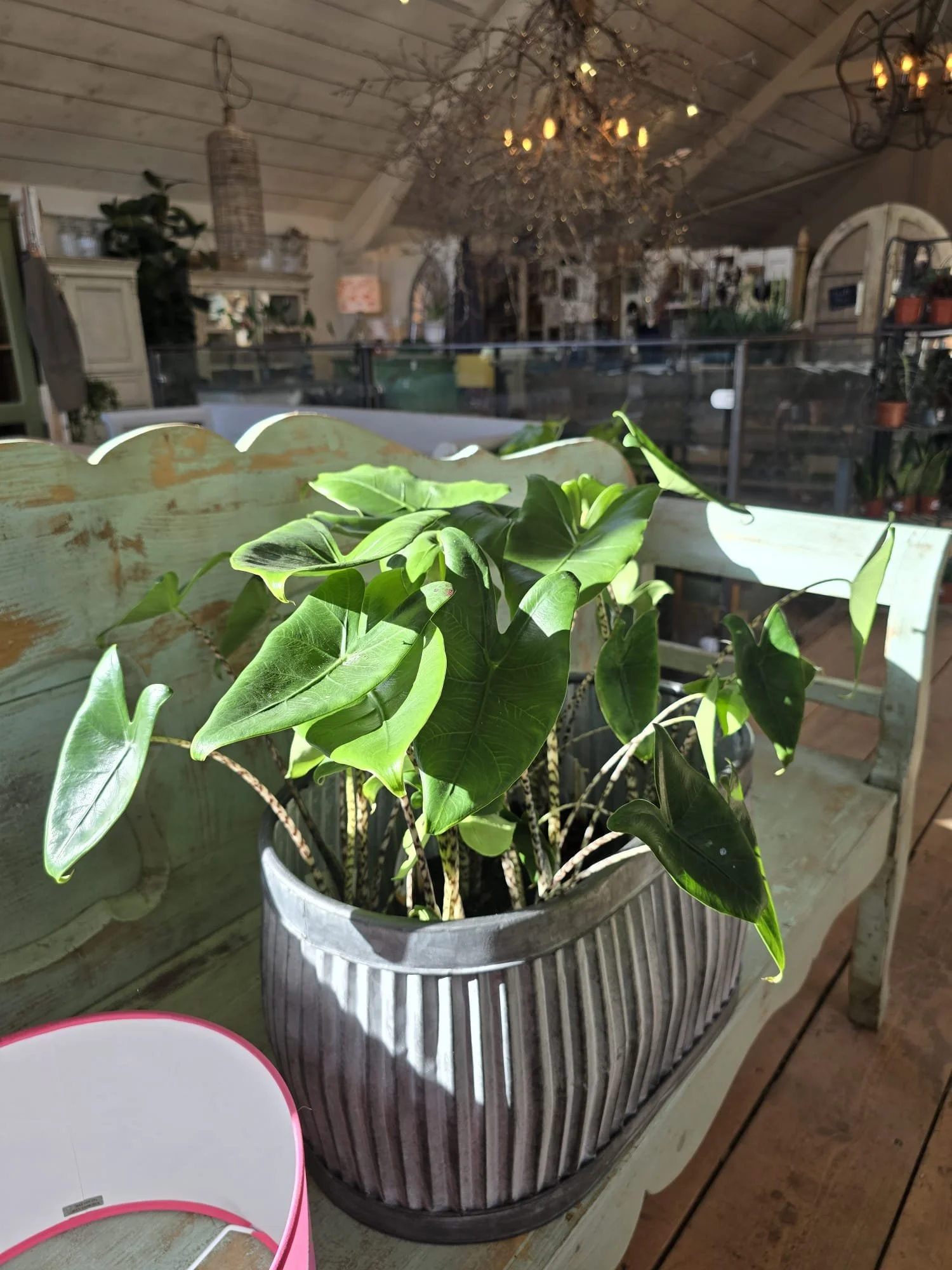 WhatsApp Image 2024-03-05 at 14.44.17 (3).jpeg