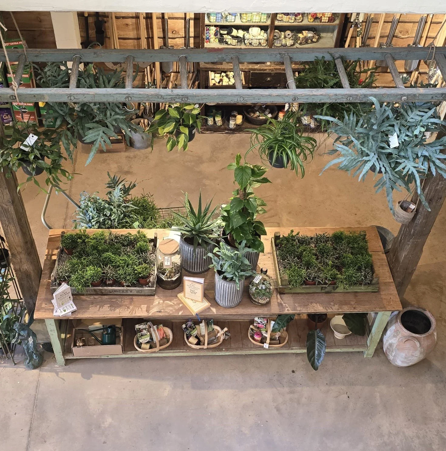 WhatsApp Image 2024-03-05 at 14.44.17 (4).jpeg