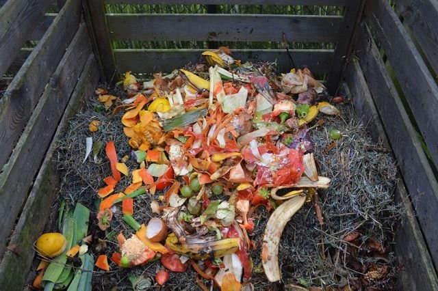 compost heap.jpeg