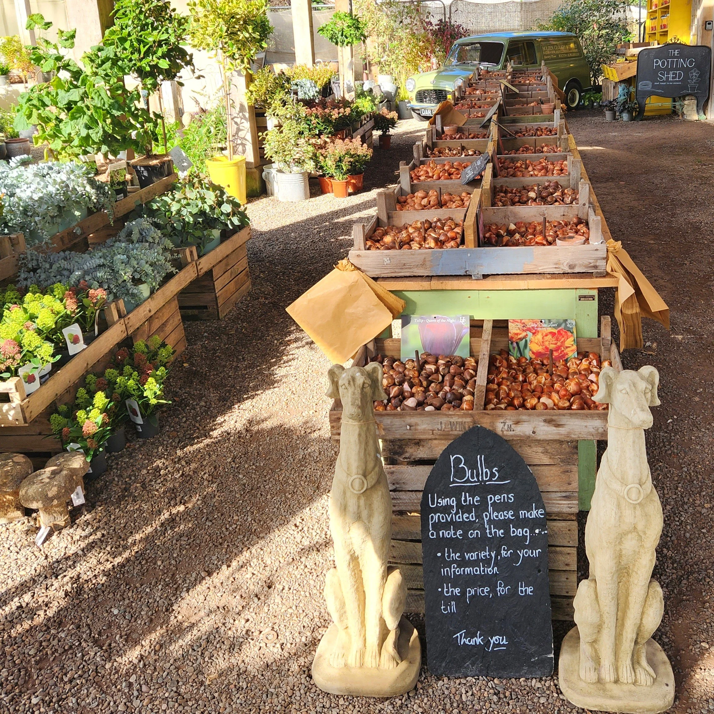 John’s September jobs for the garden…